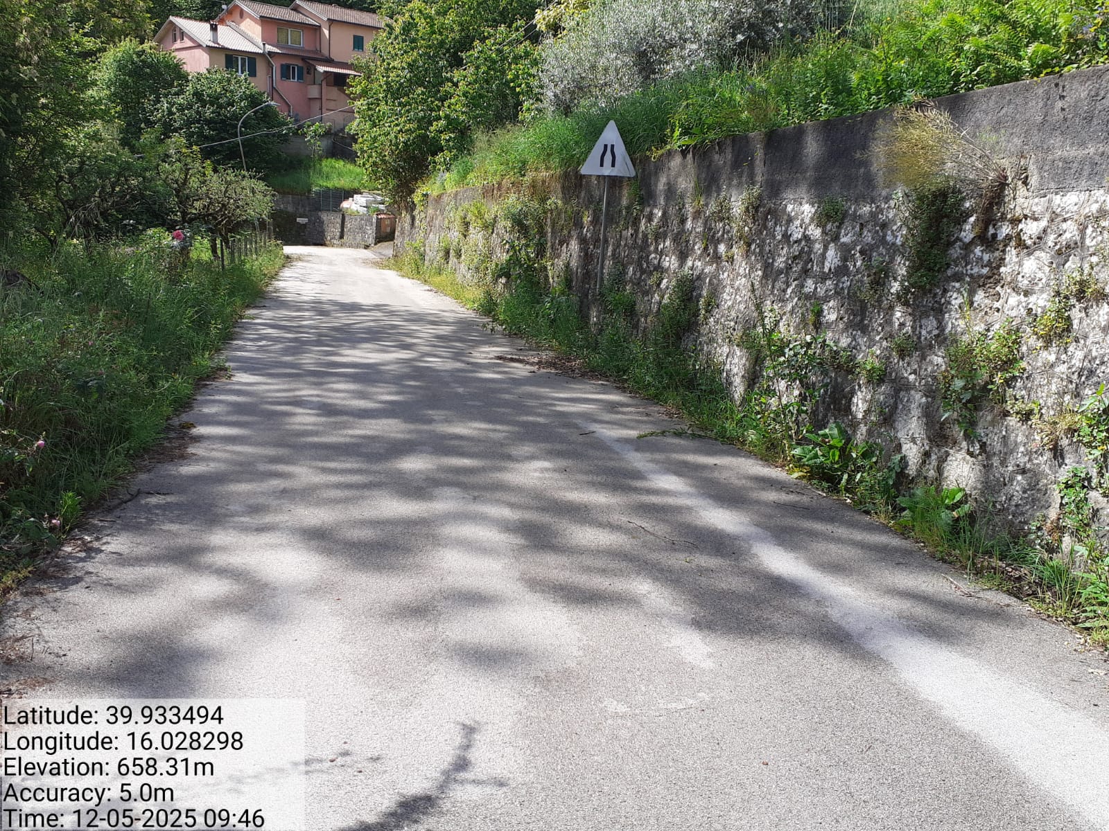 Galleria Fotografica Immagine