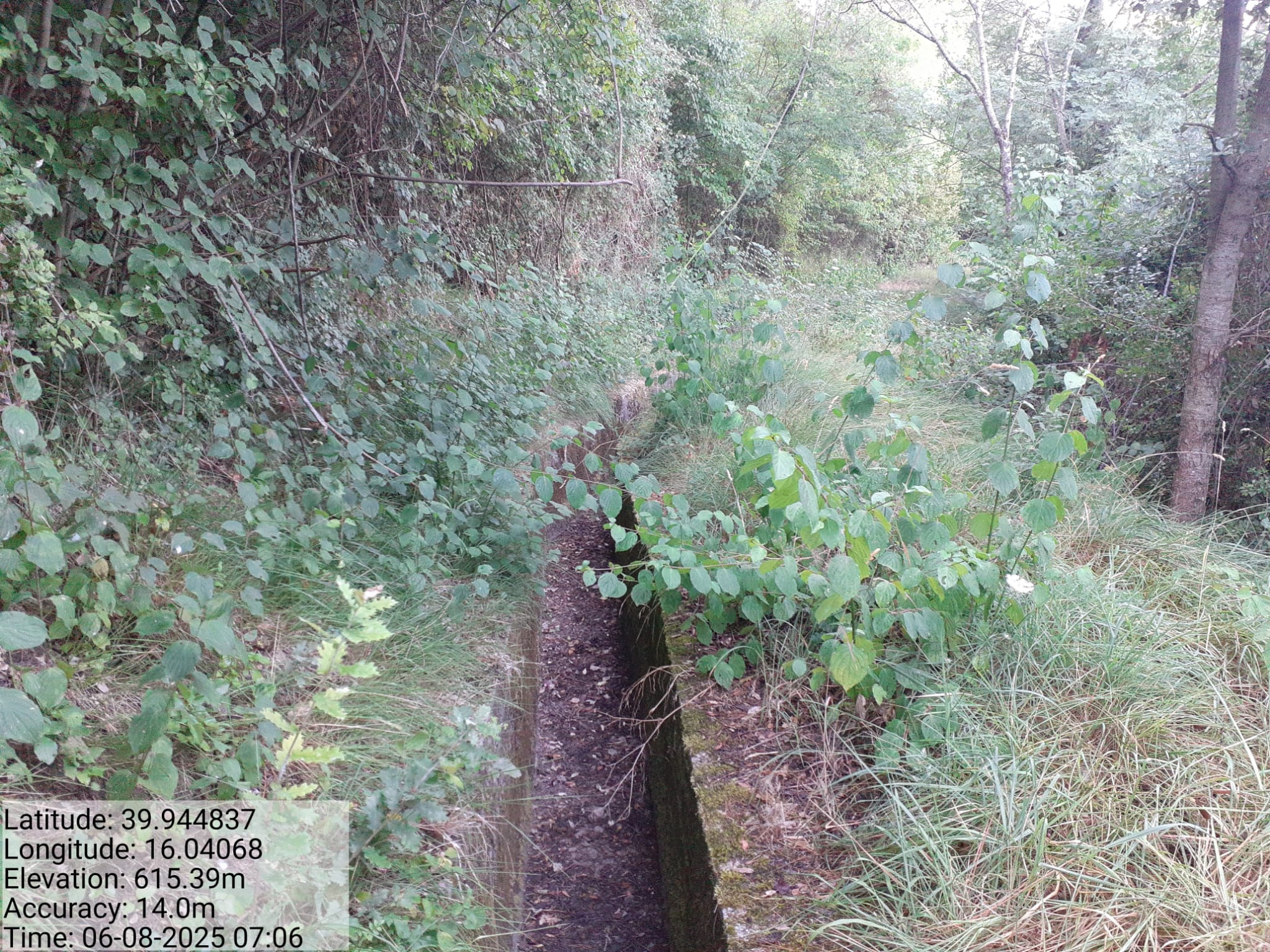 Galleria Fotografica Immagine