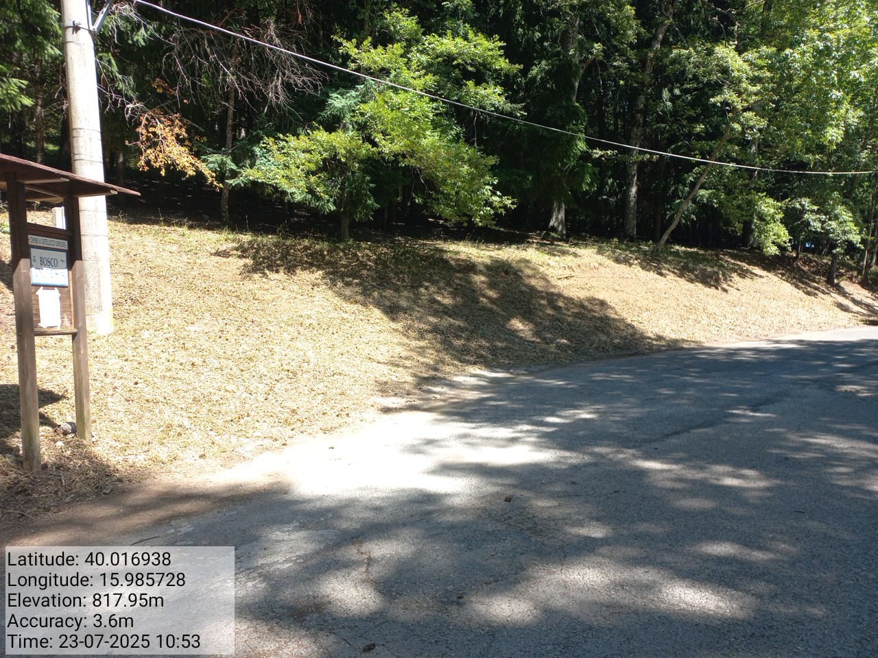 Galleria Fotografica Immagine