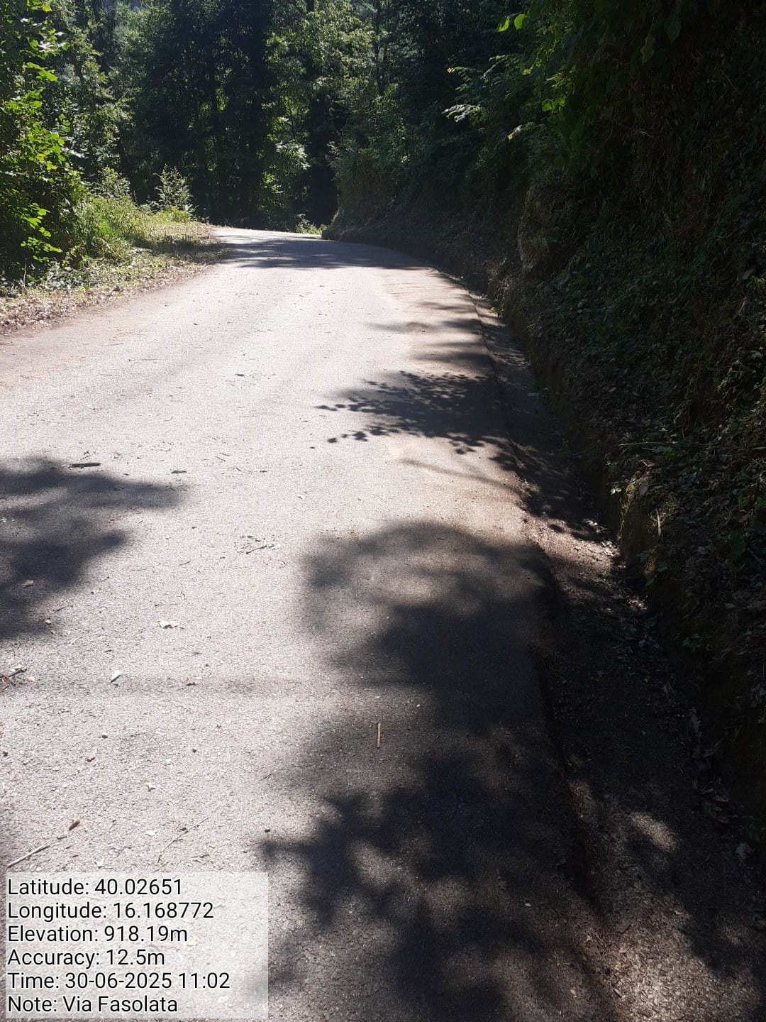 Galleria Fotografica Immagine