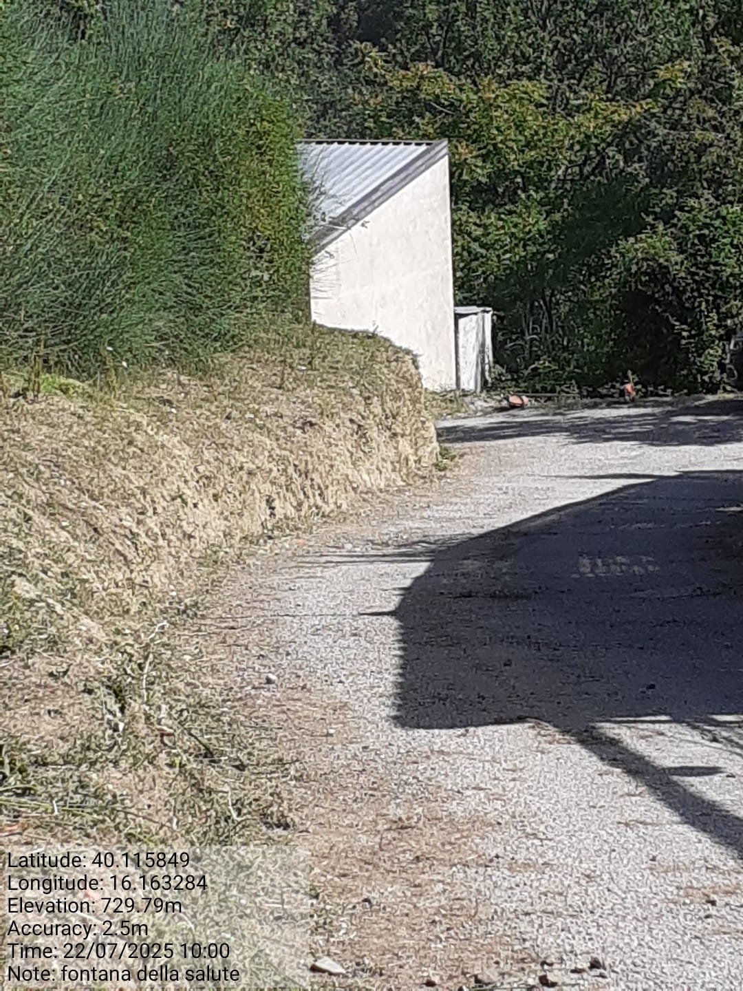 Galleria Fotografica Immagine