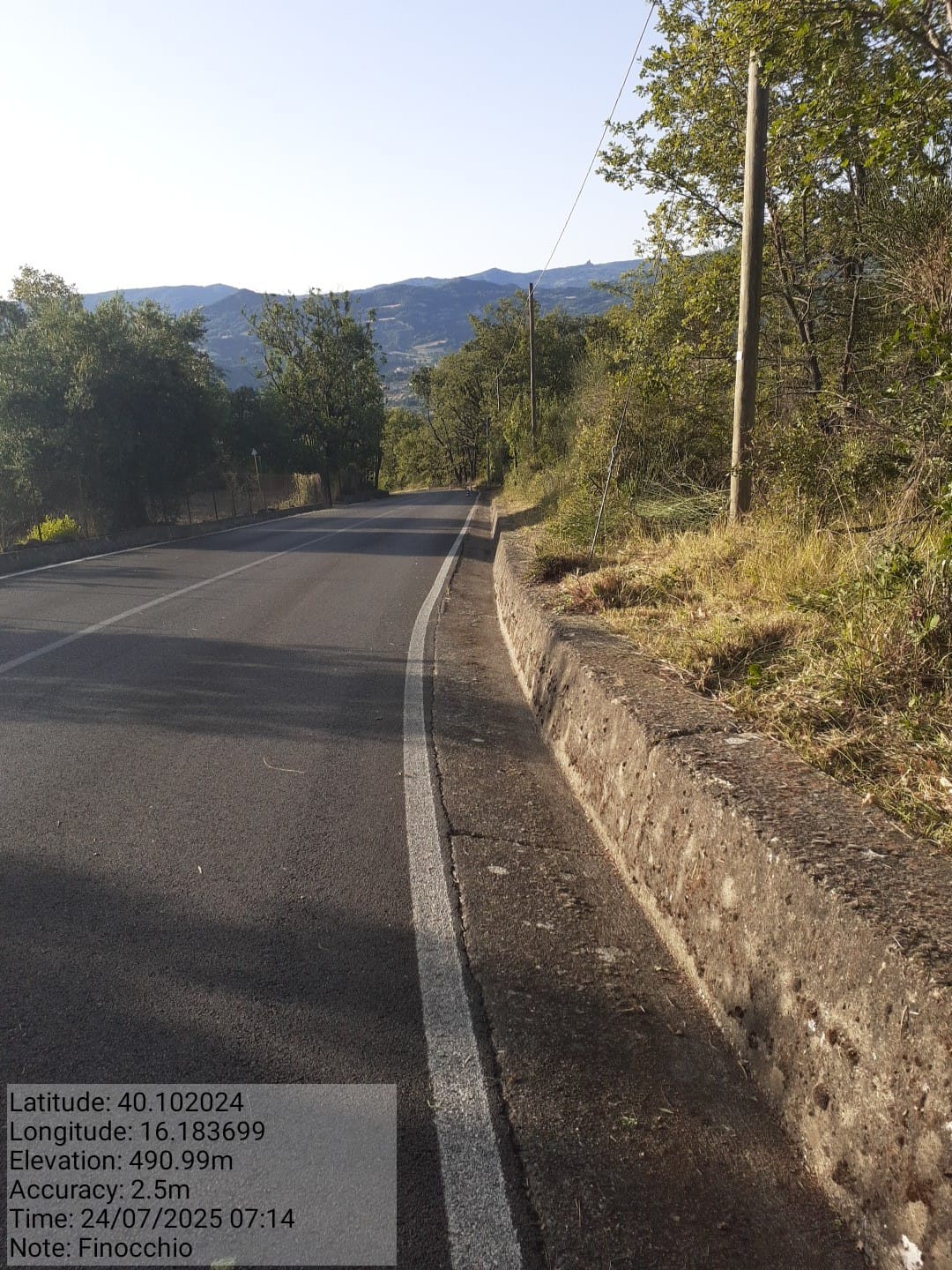 Galleria Fotografica Immagine