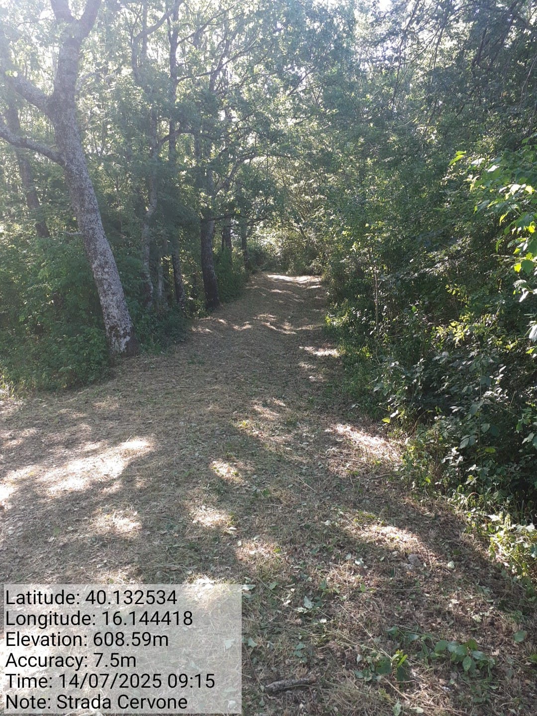 Galleria Fotografica Immagine