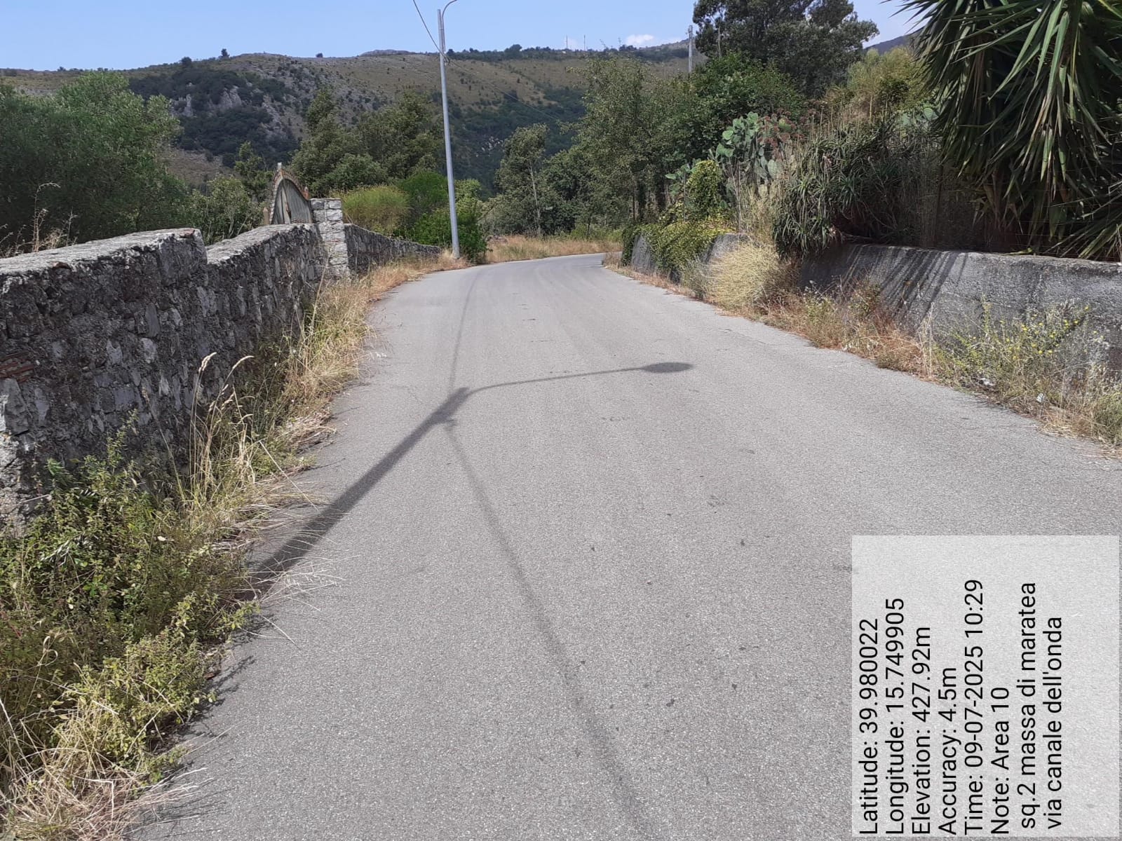 Galleria Fotografica Immagine