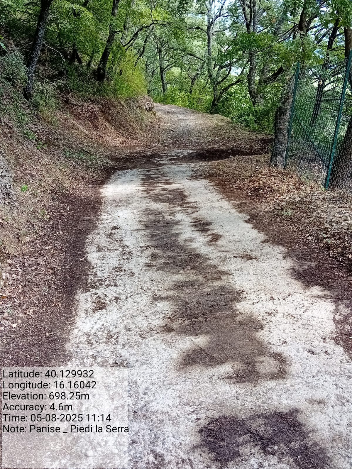 Galleria Fotografica Immagine