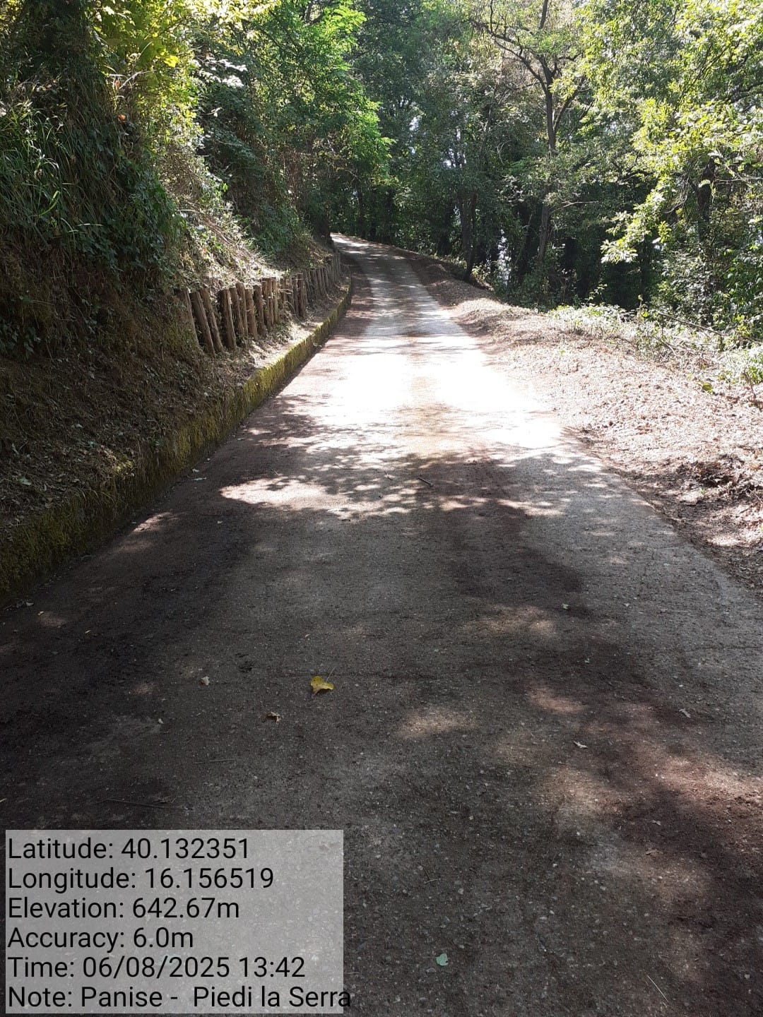 Galleria Fotografica Immagine