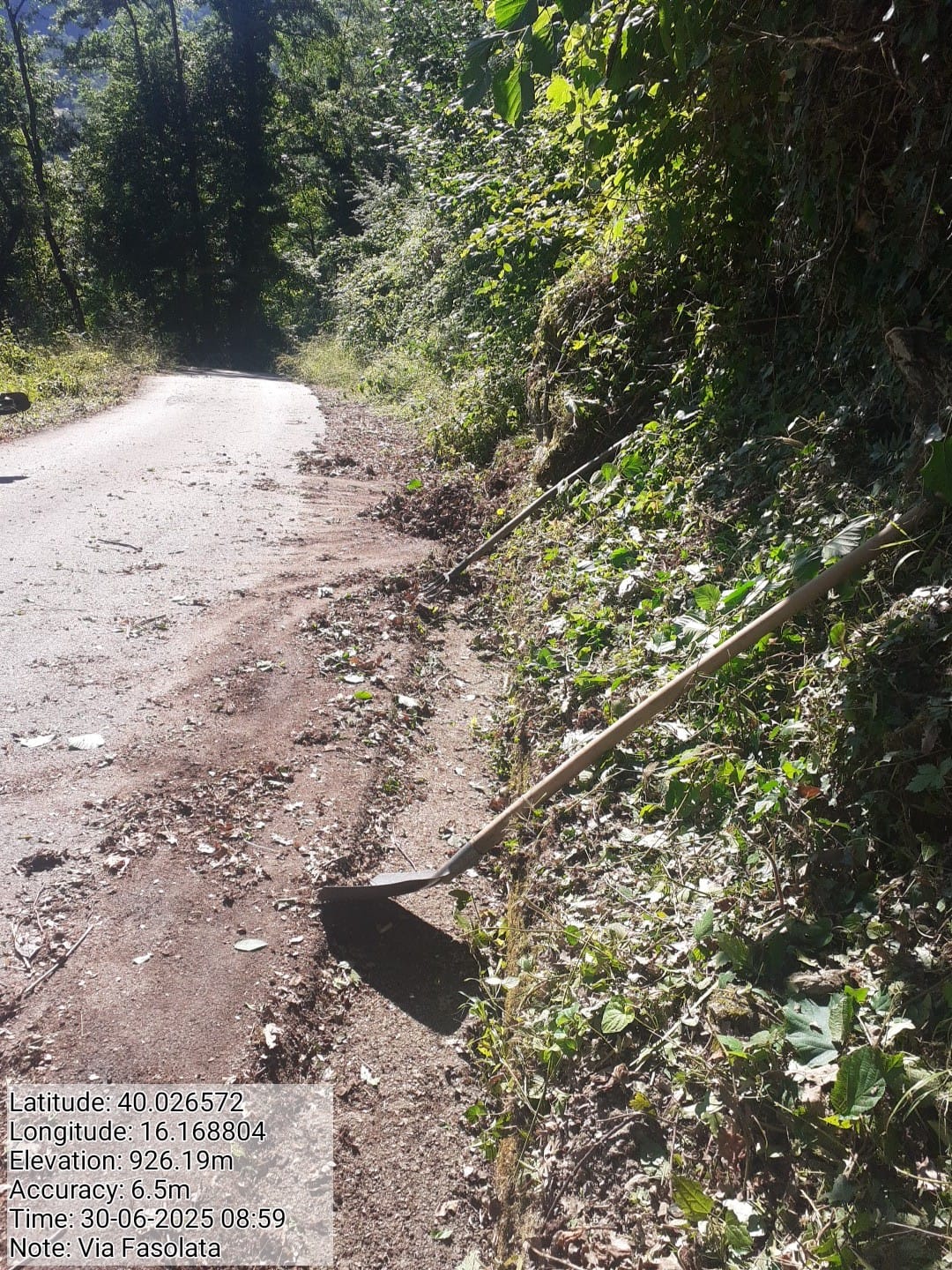 Galleria Fotografica Immagine