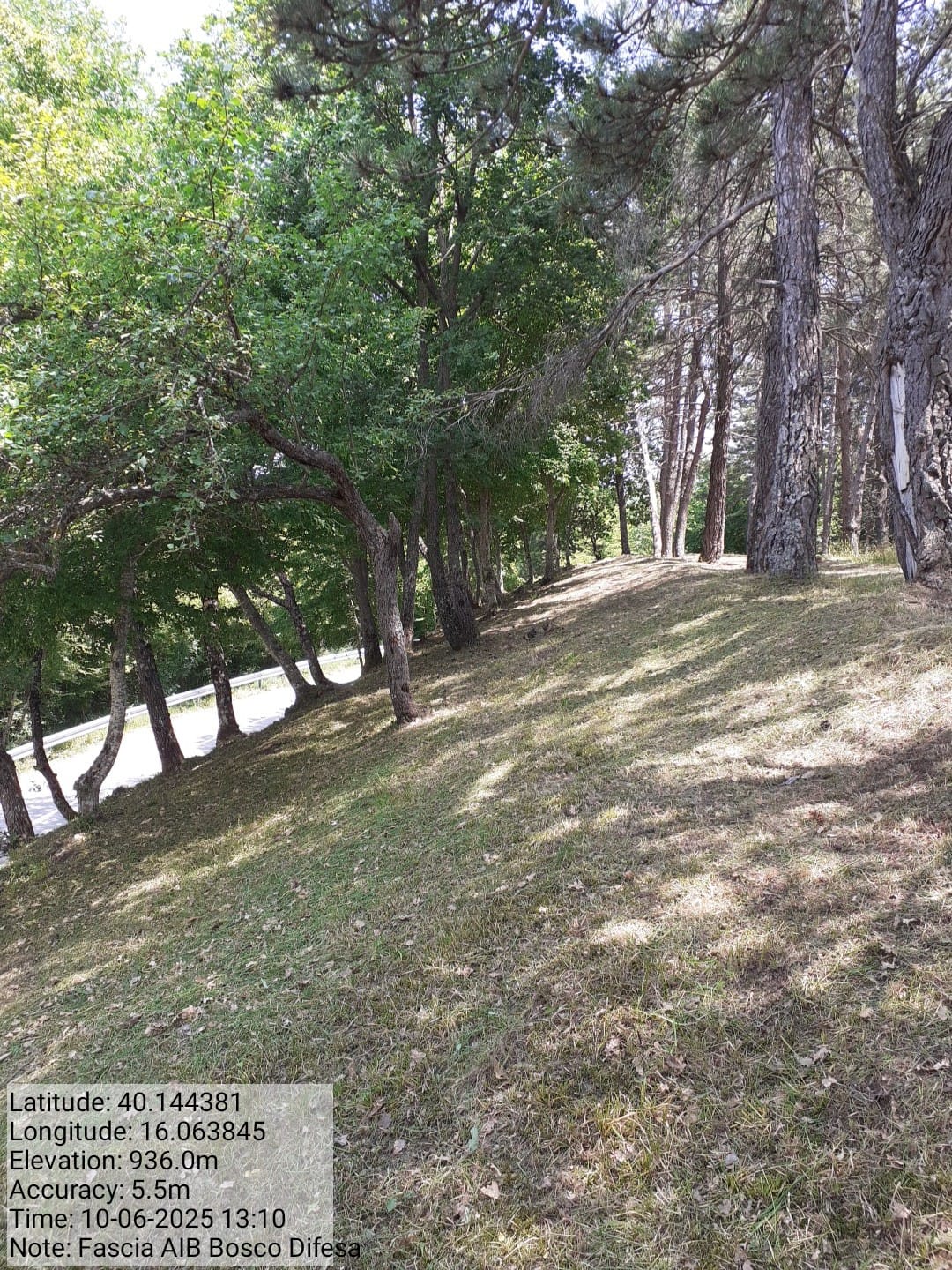 Galleria Fotografica Immagine