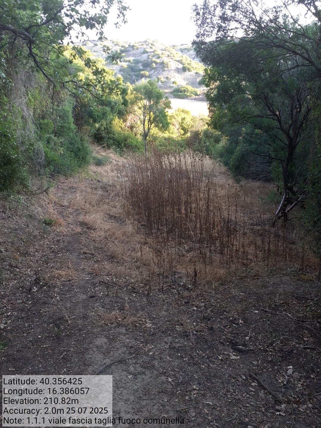 Galleria Fotografica Immagine