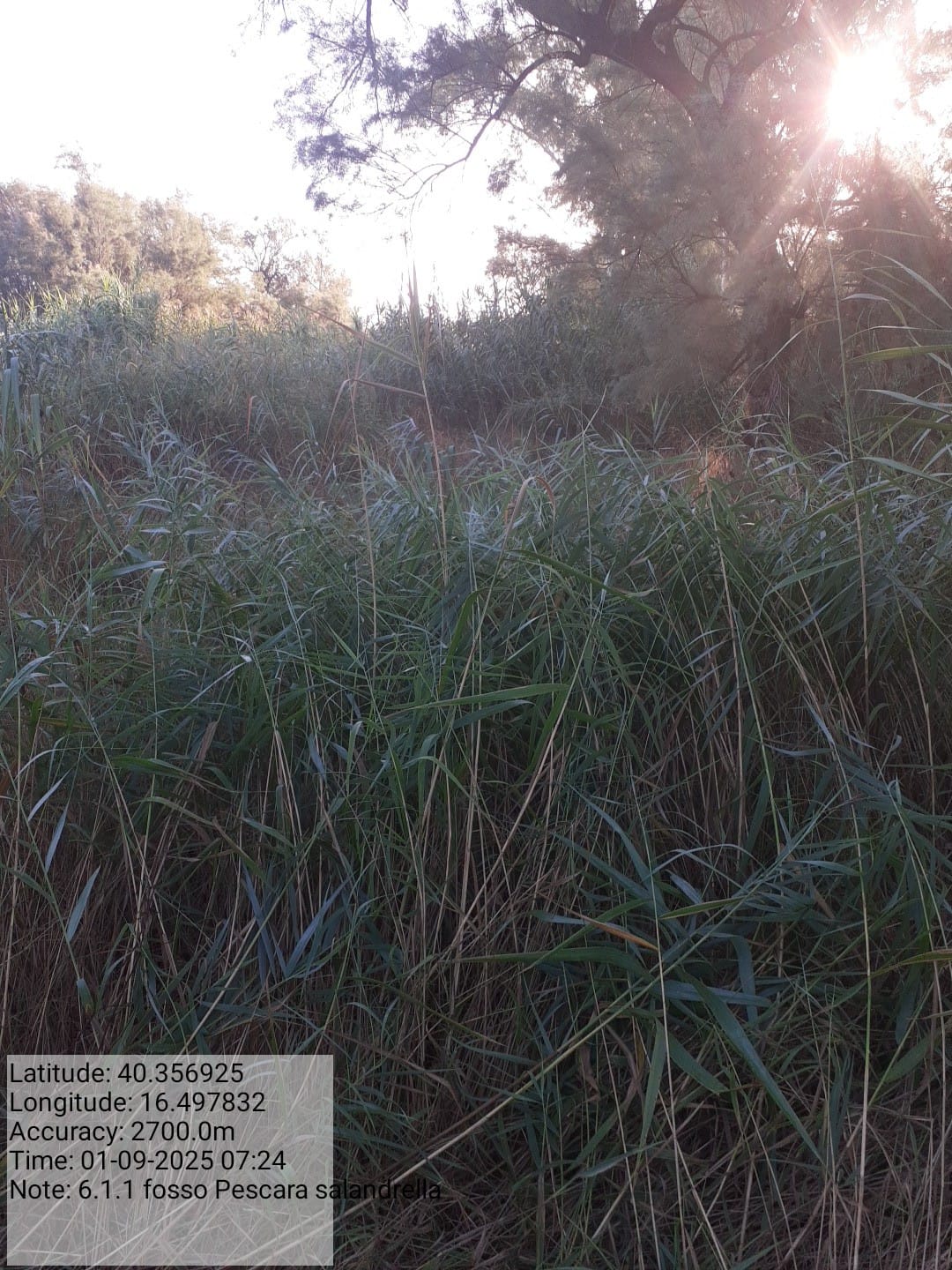 Galleria Fotografica Immagine