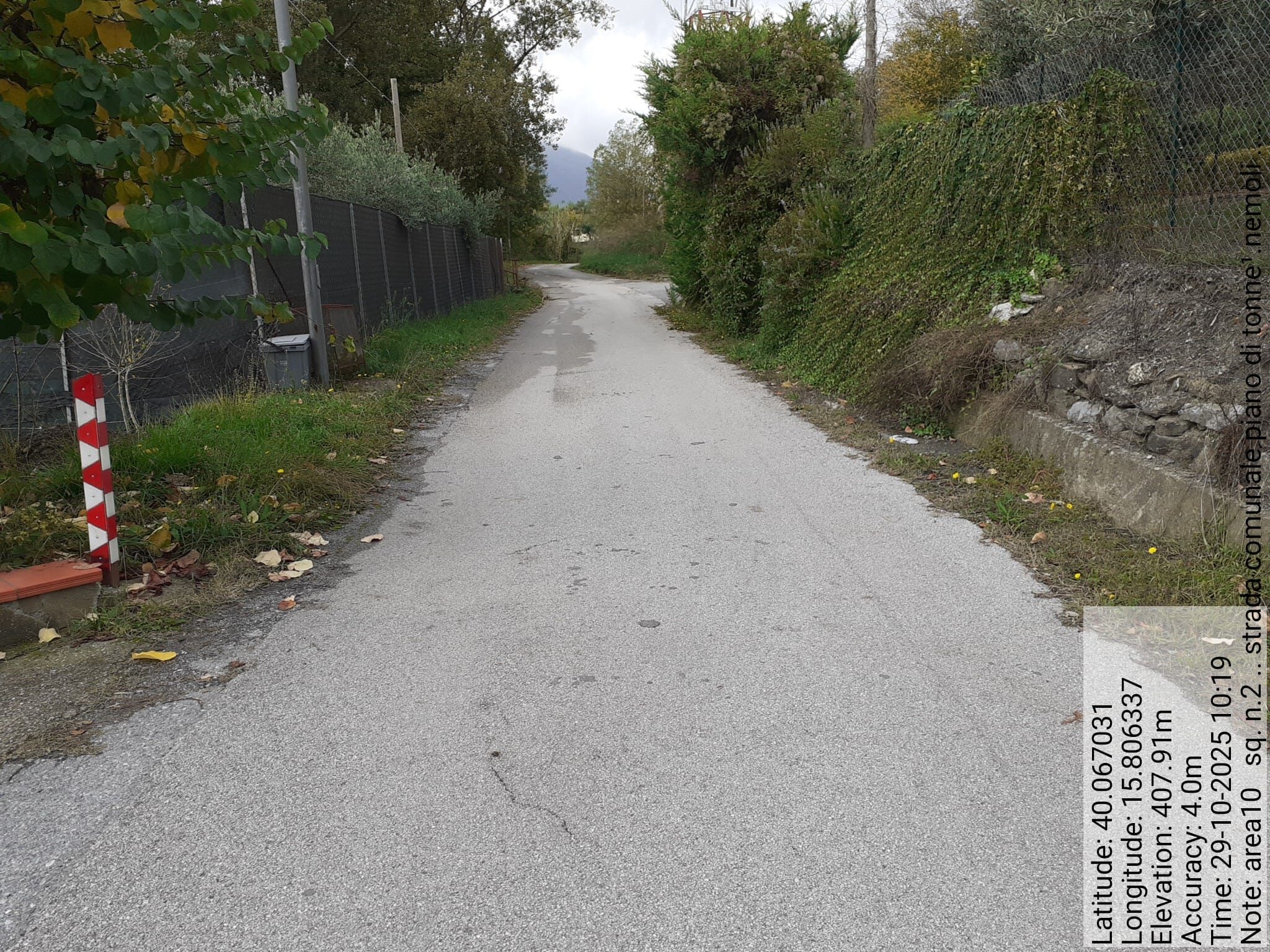 Galleria Fotografica Immagine