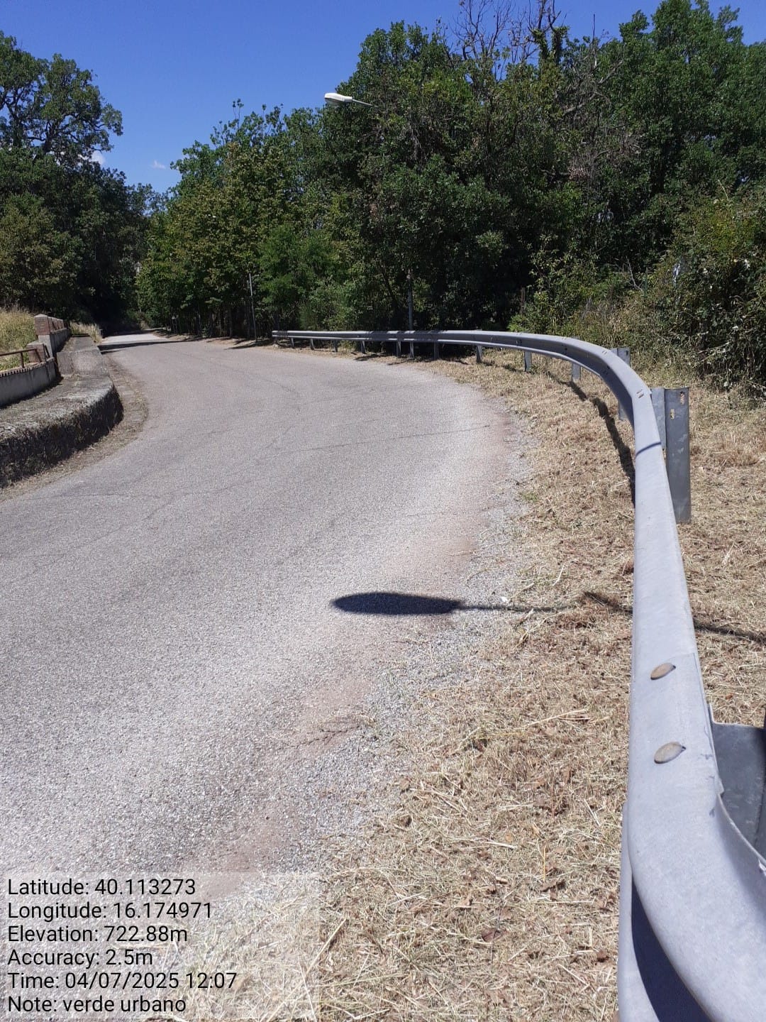 Galleria Fotografica Immagine