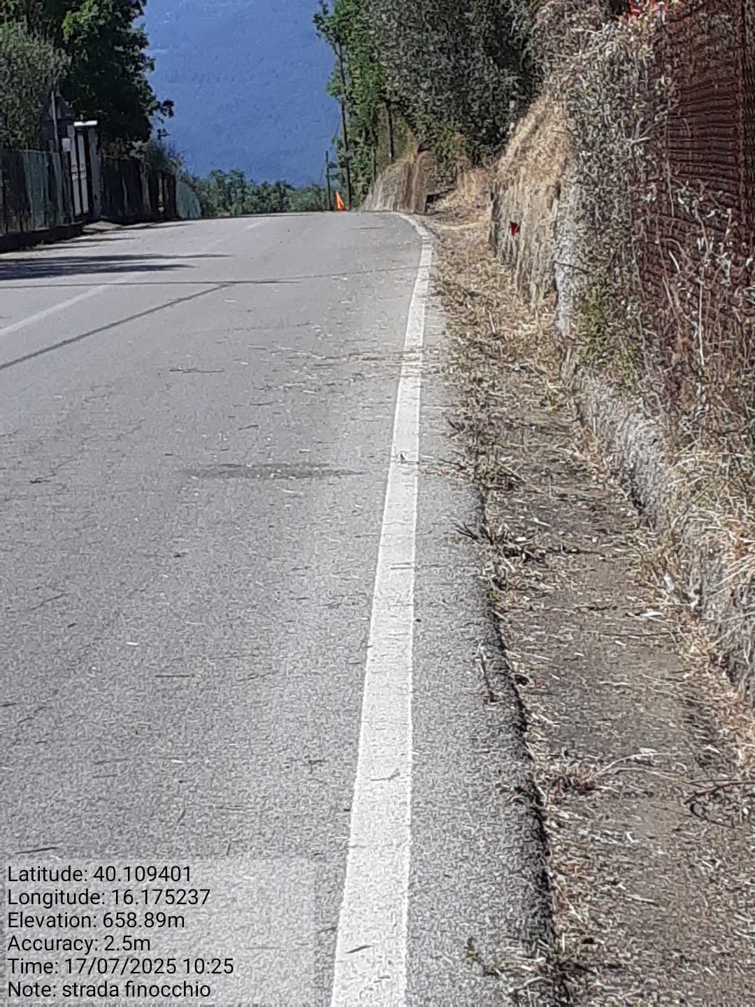 Galleria Fotografica Immagine