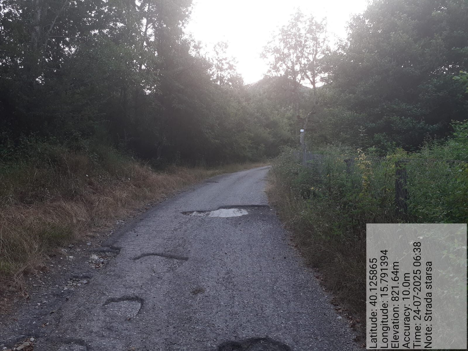 Galleria Fotografica Immagine