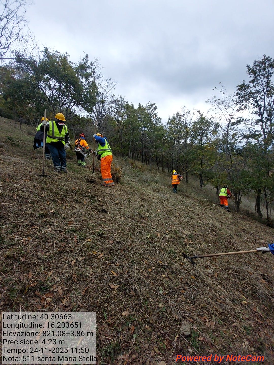 Galleria Fotografica Immagine