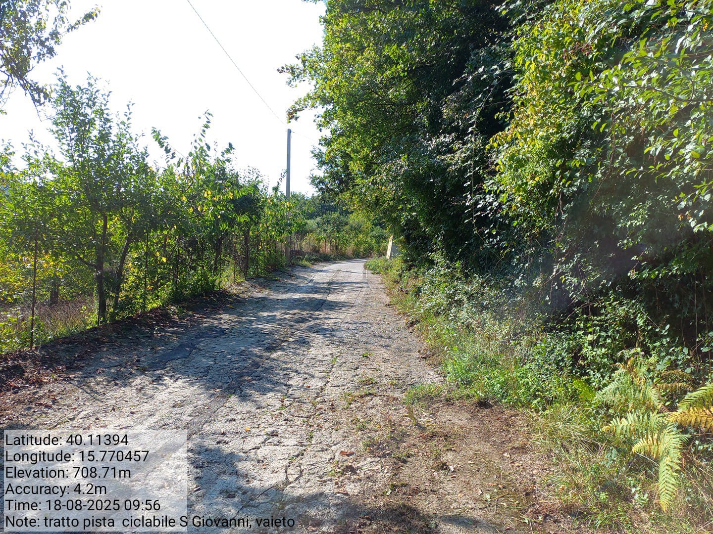 Galleria Fotografica Immagine