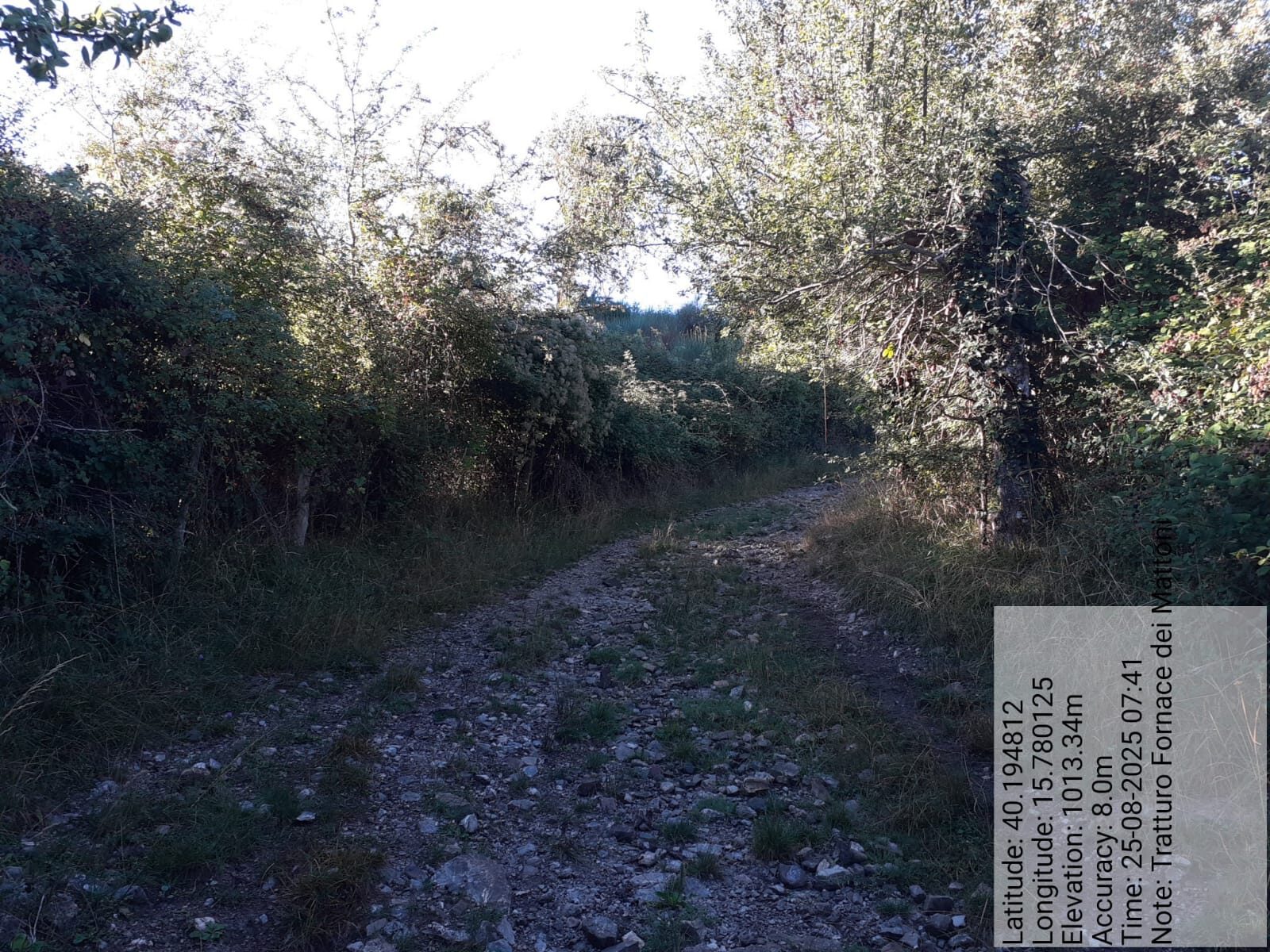 Galleria Fotografica Immagine