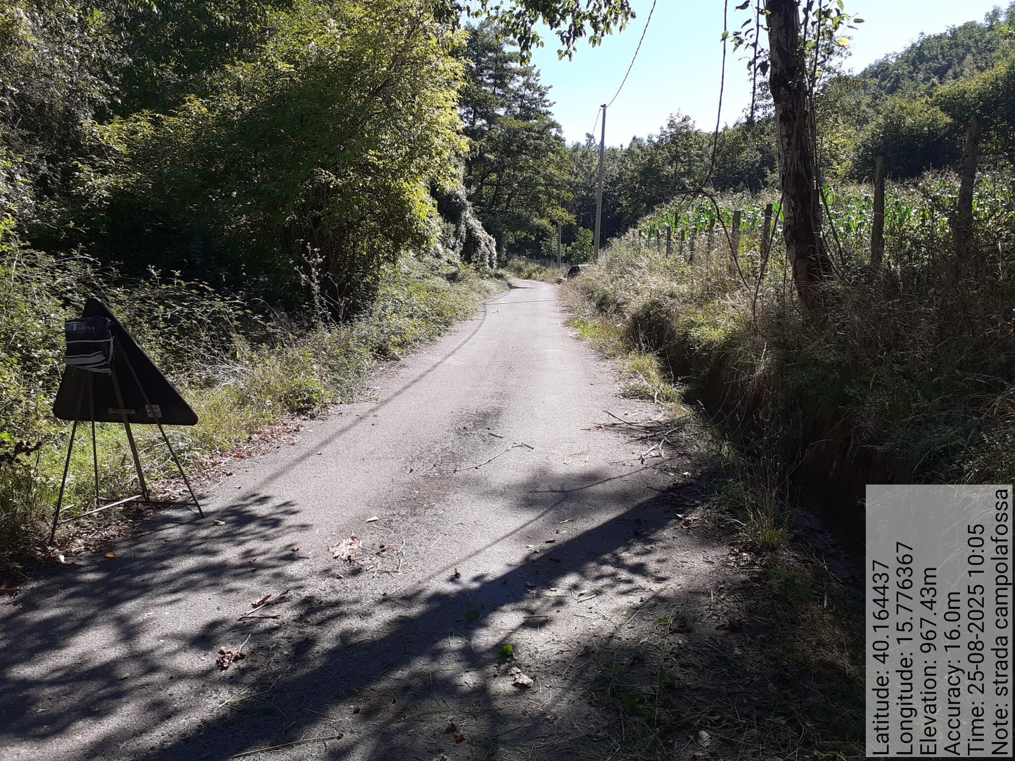 Galleria Fotografica Immagine