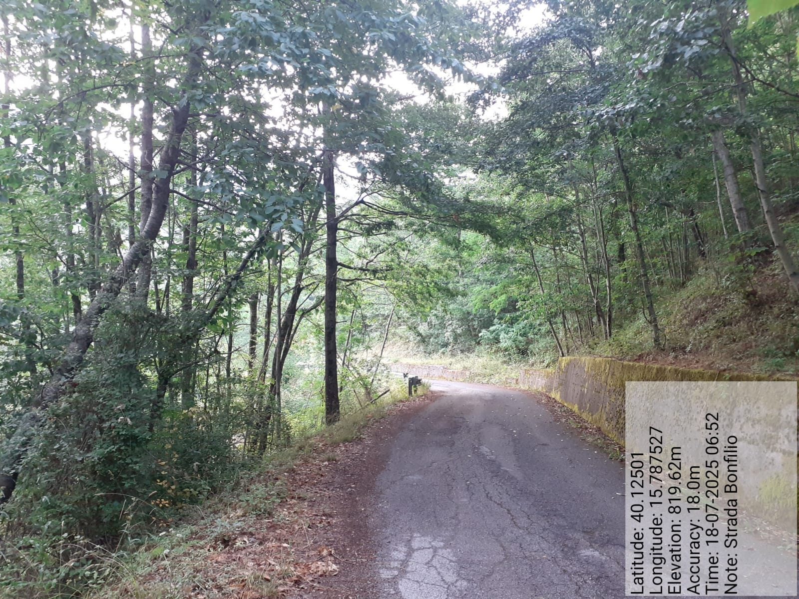 Galleria Fotografica Immagine