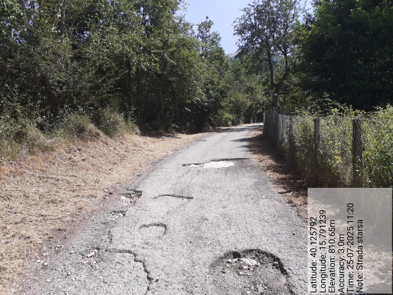 Galleria Fotografica Immagine