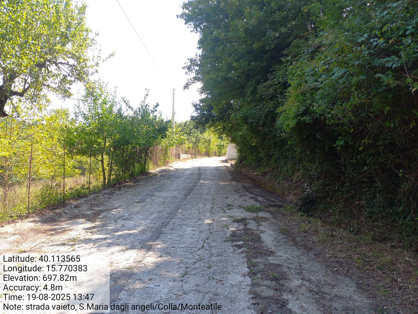 Galleria Fotografica Immagine