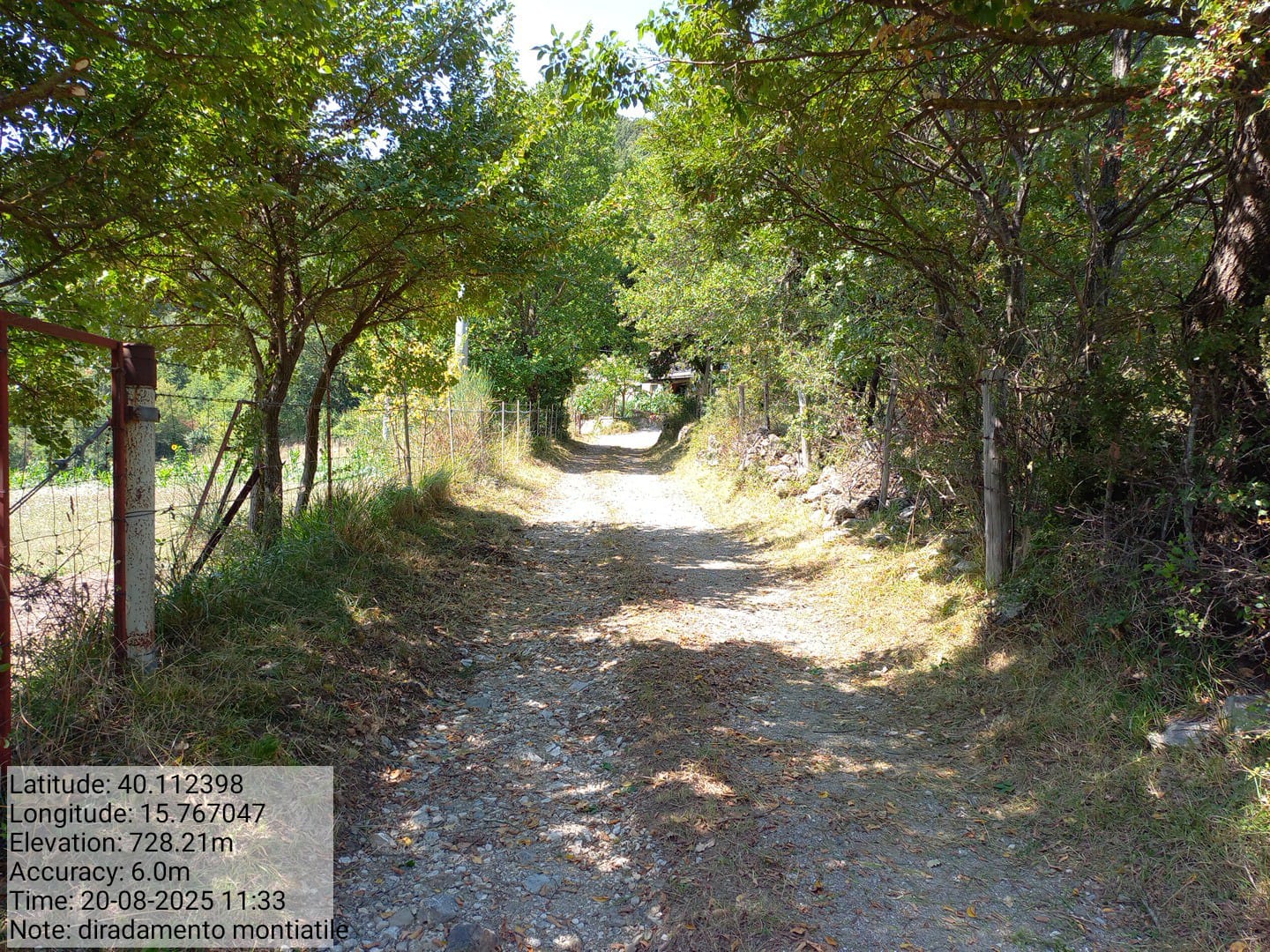 Galleria Fotografica Immagine