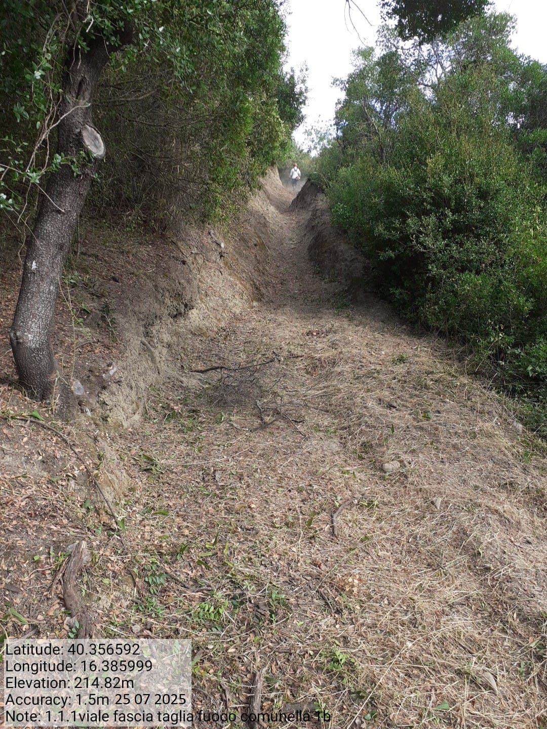 Galleria Fotografica Immagine