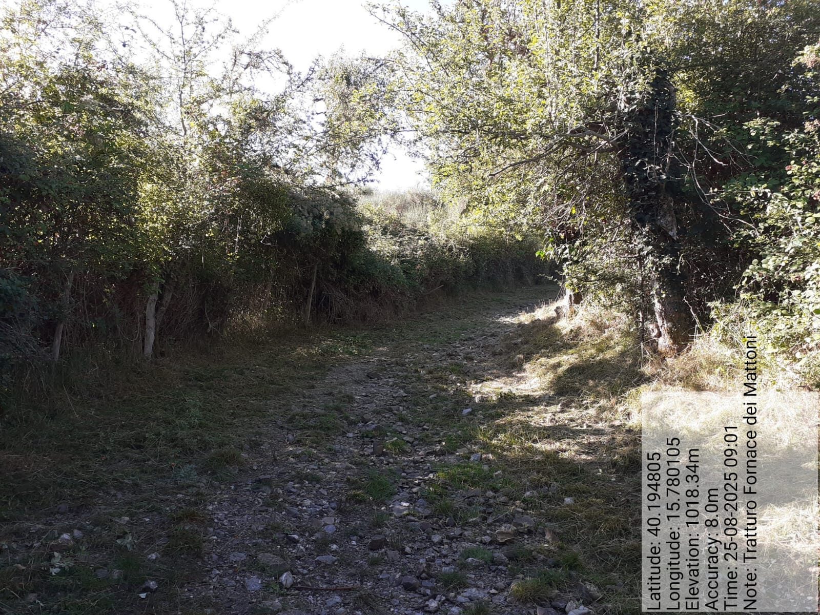 Galleria Fotografica Immagine