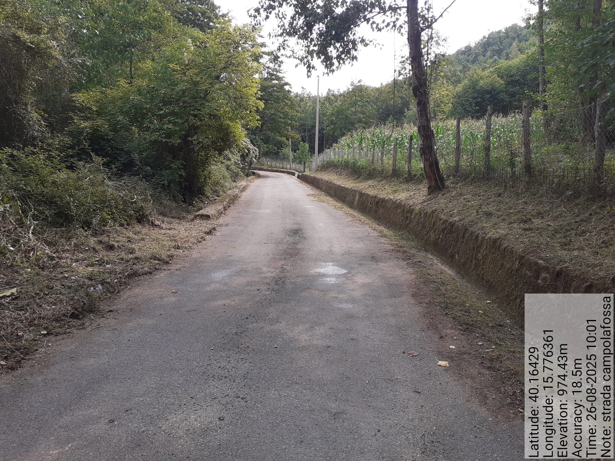 Galleria Fotografica Immagine