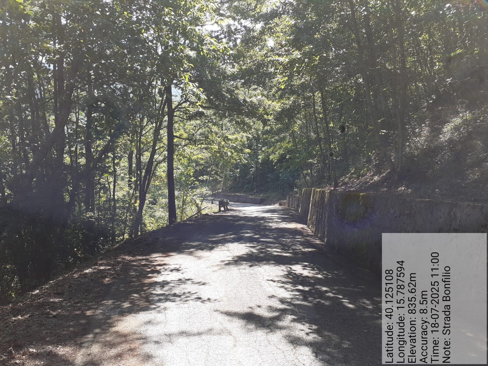 Galleria Fotografica Immagine