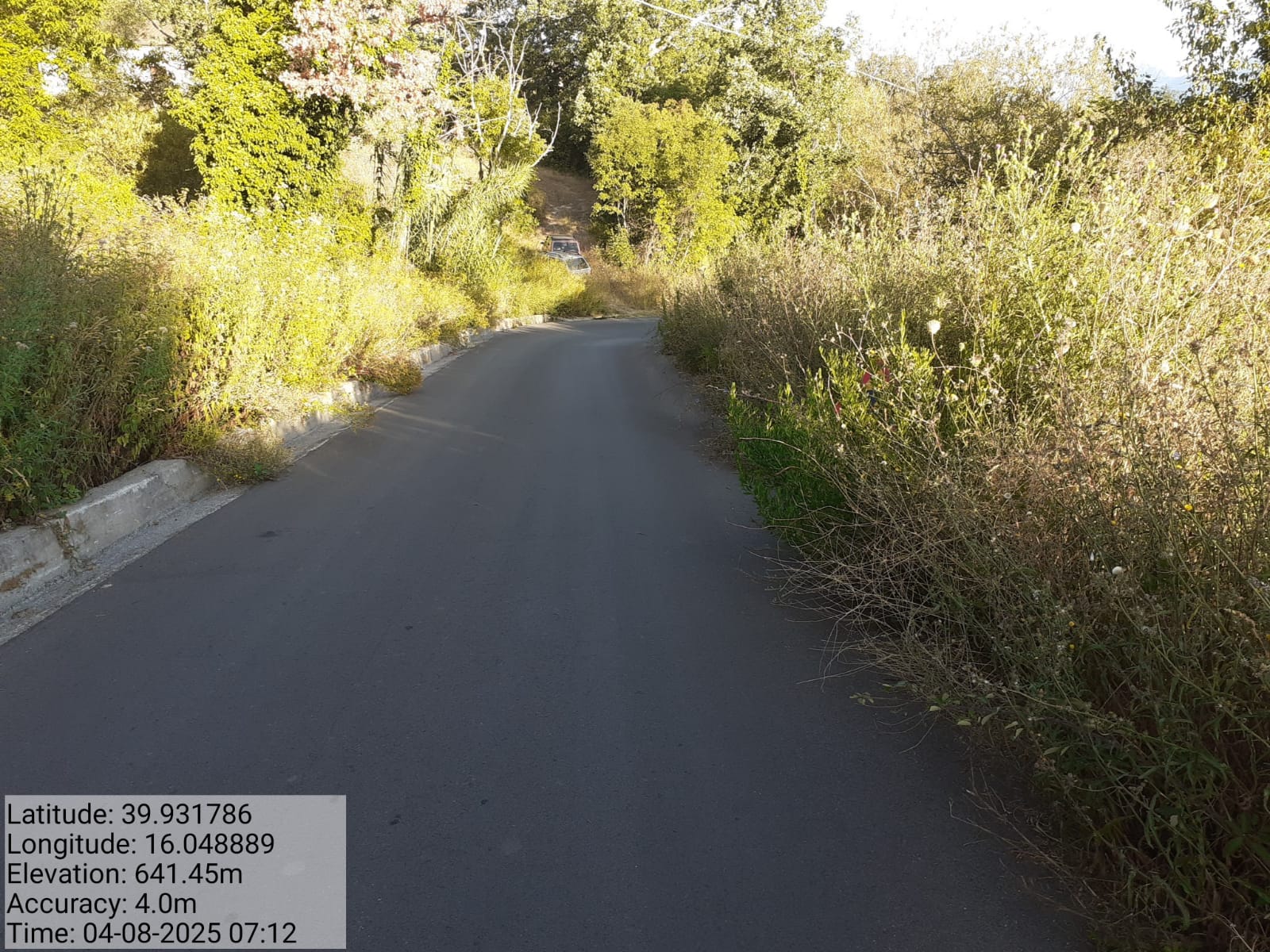 Galleria Fotografica Immagine