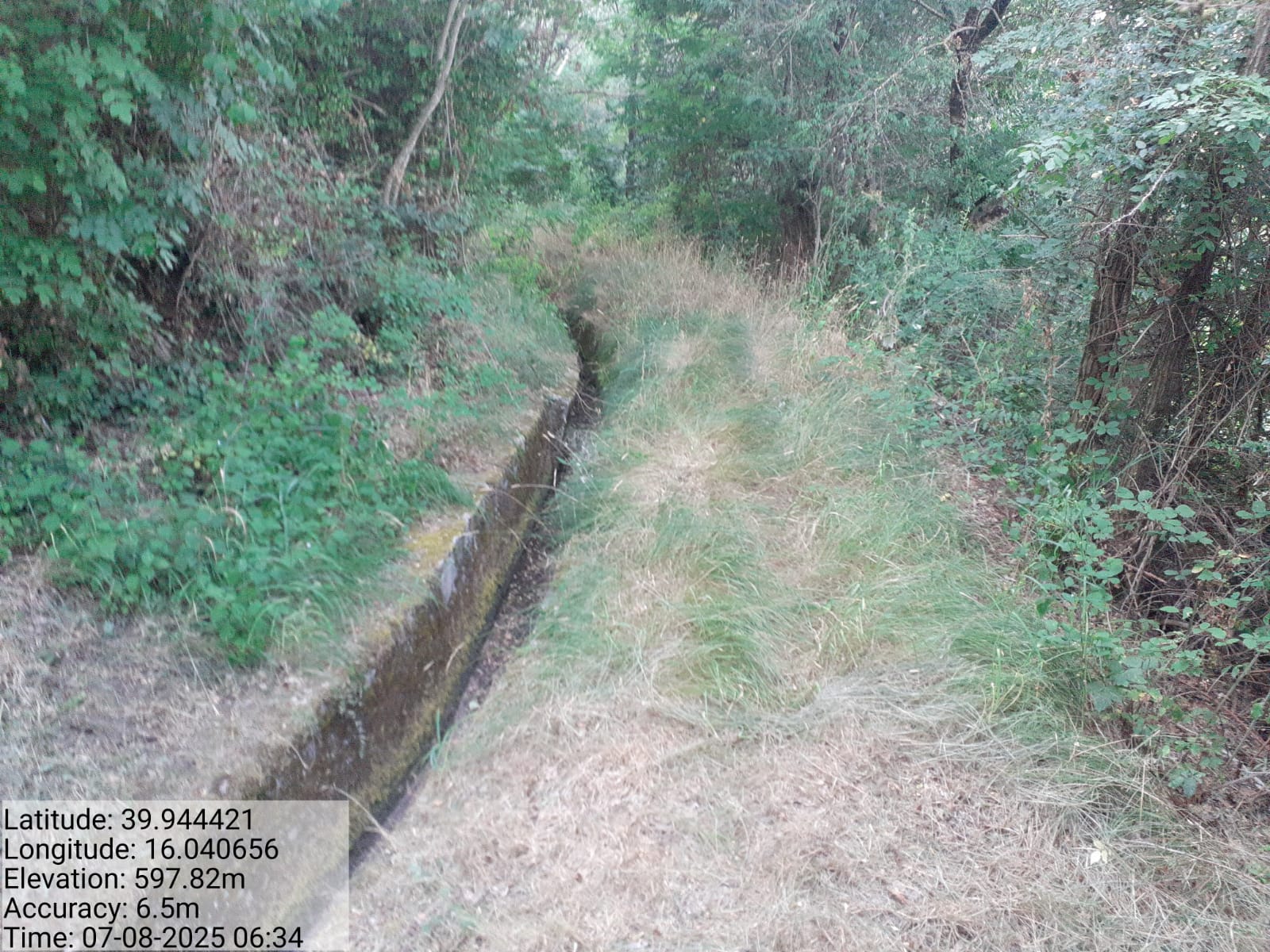 Galleria Fotografica Immagine