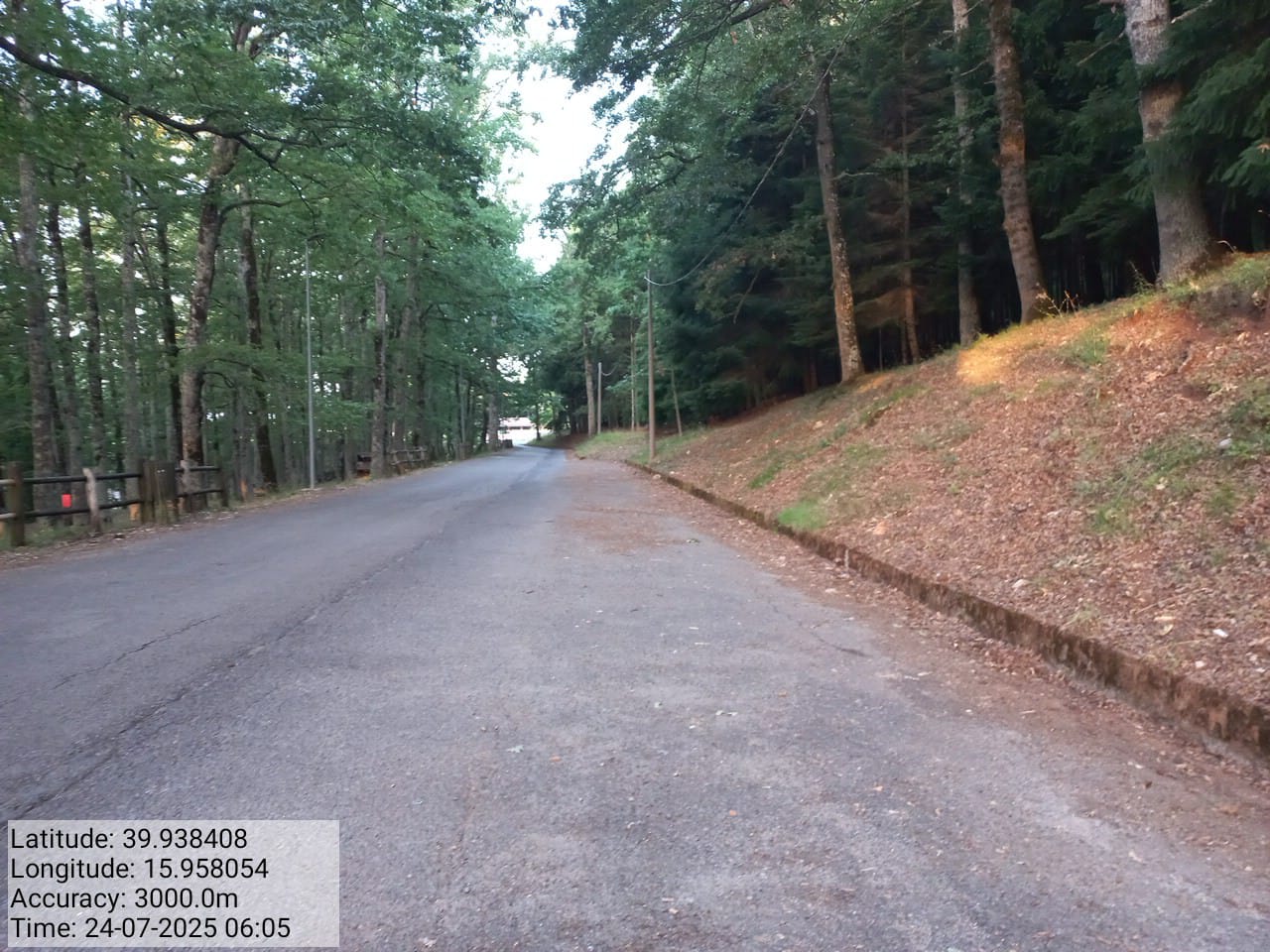 Galleria Fotografica Immagine