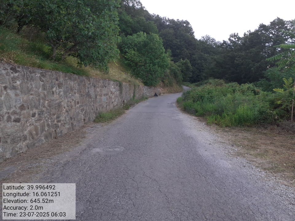 Galleria Fotografica Immagine