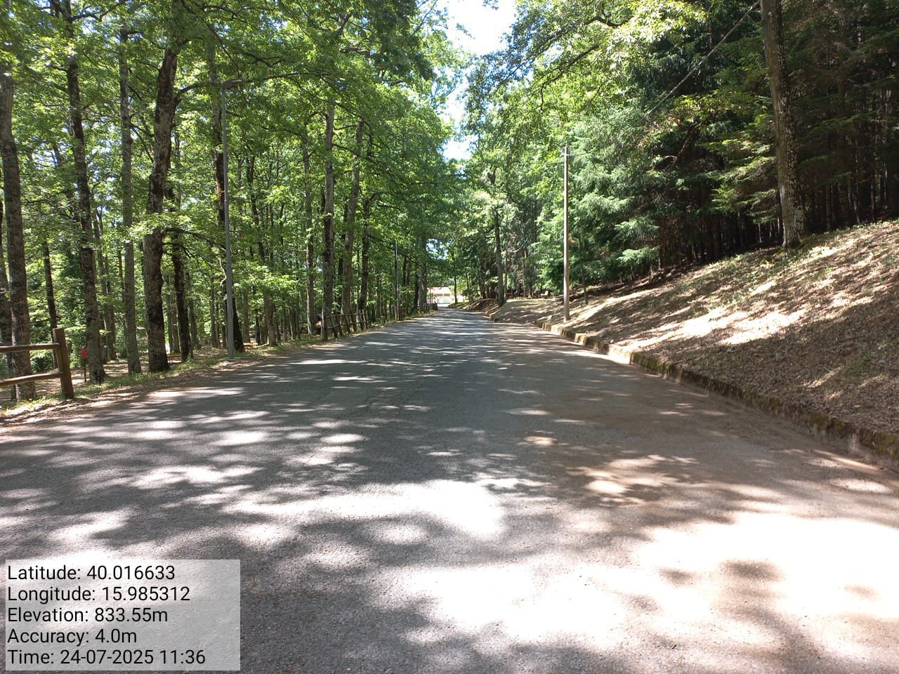 Galleria Fotografica Immagine