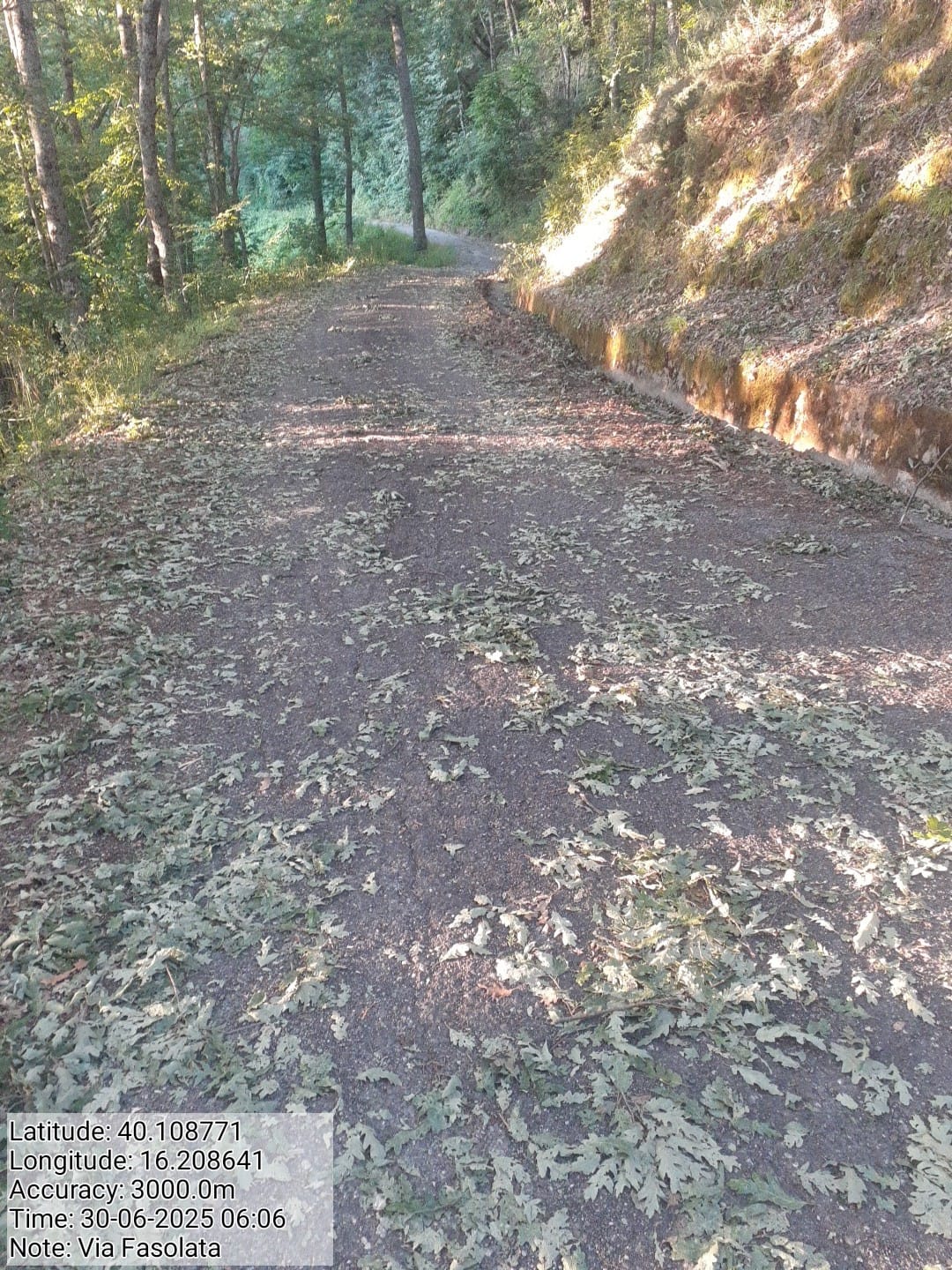 Galleria Fotografica Immagine