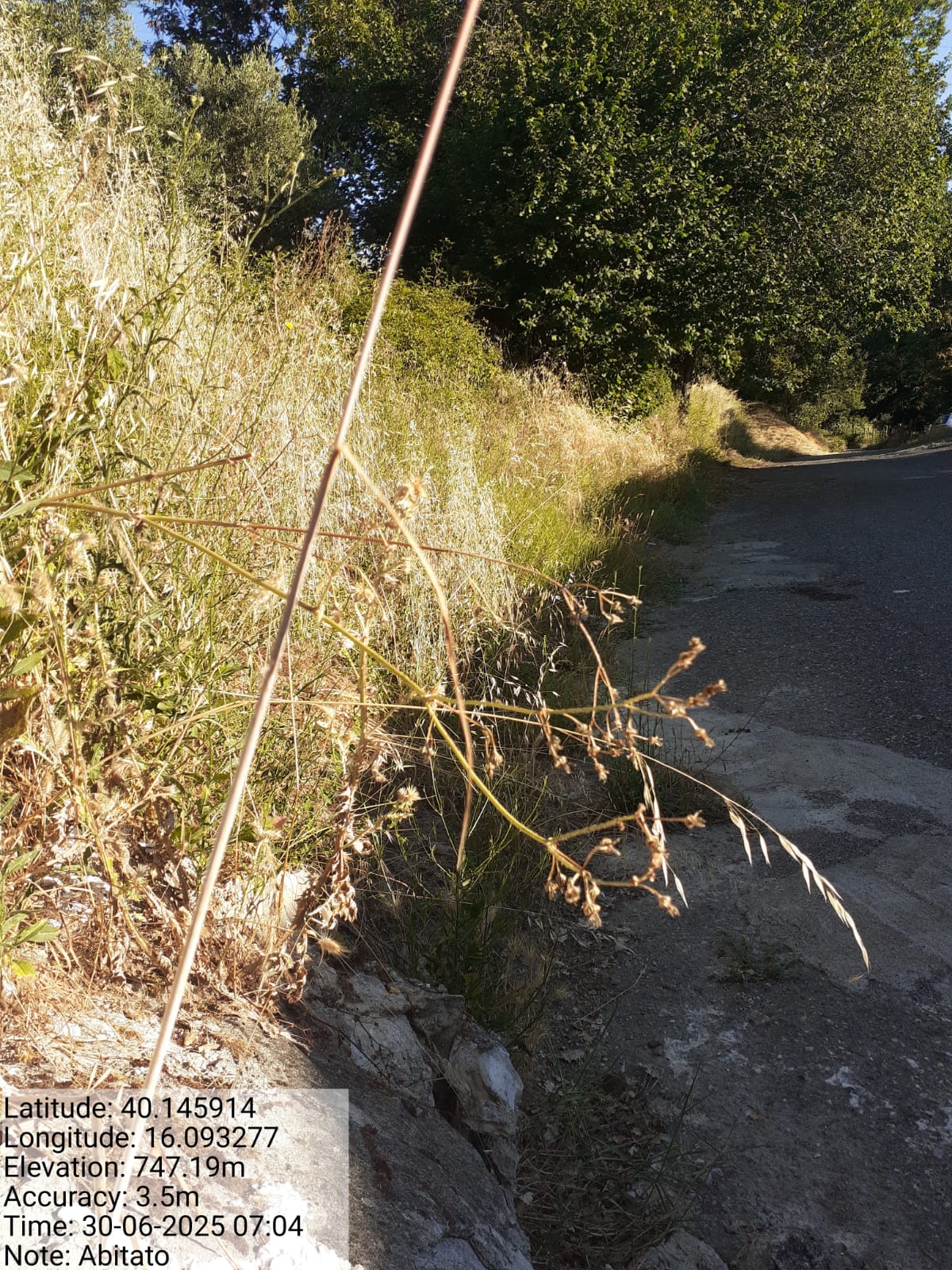 Galleria Fotografica Immagine