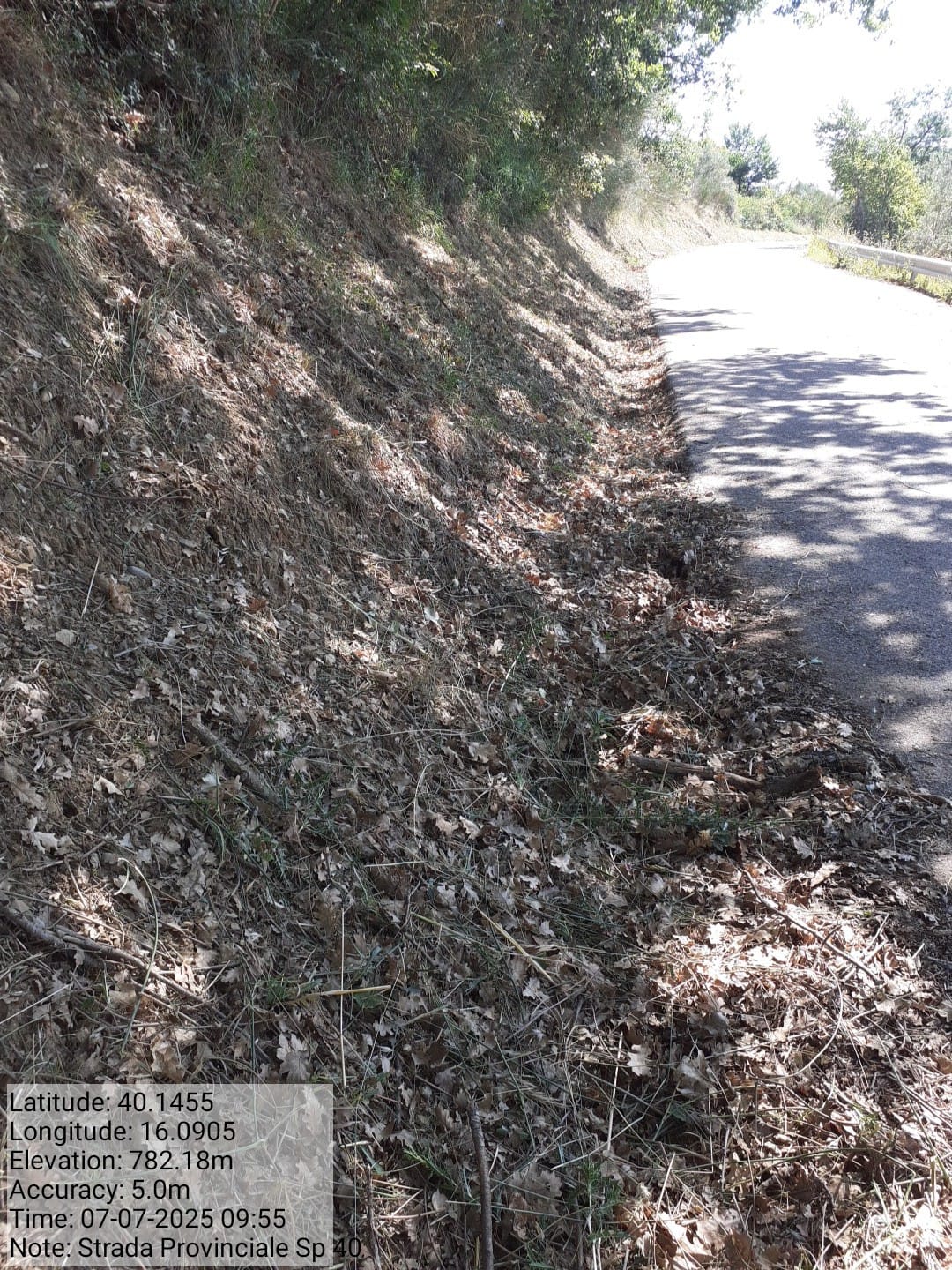 Galleria Fotografica Immagine