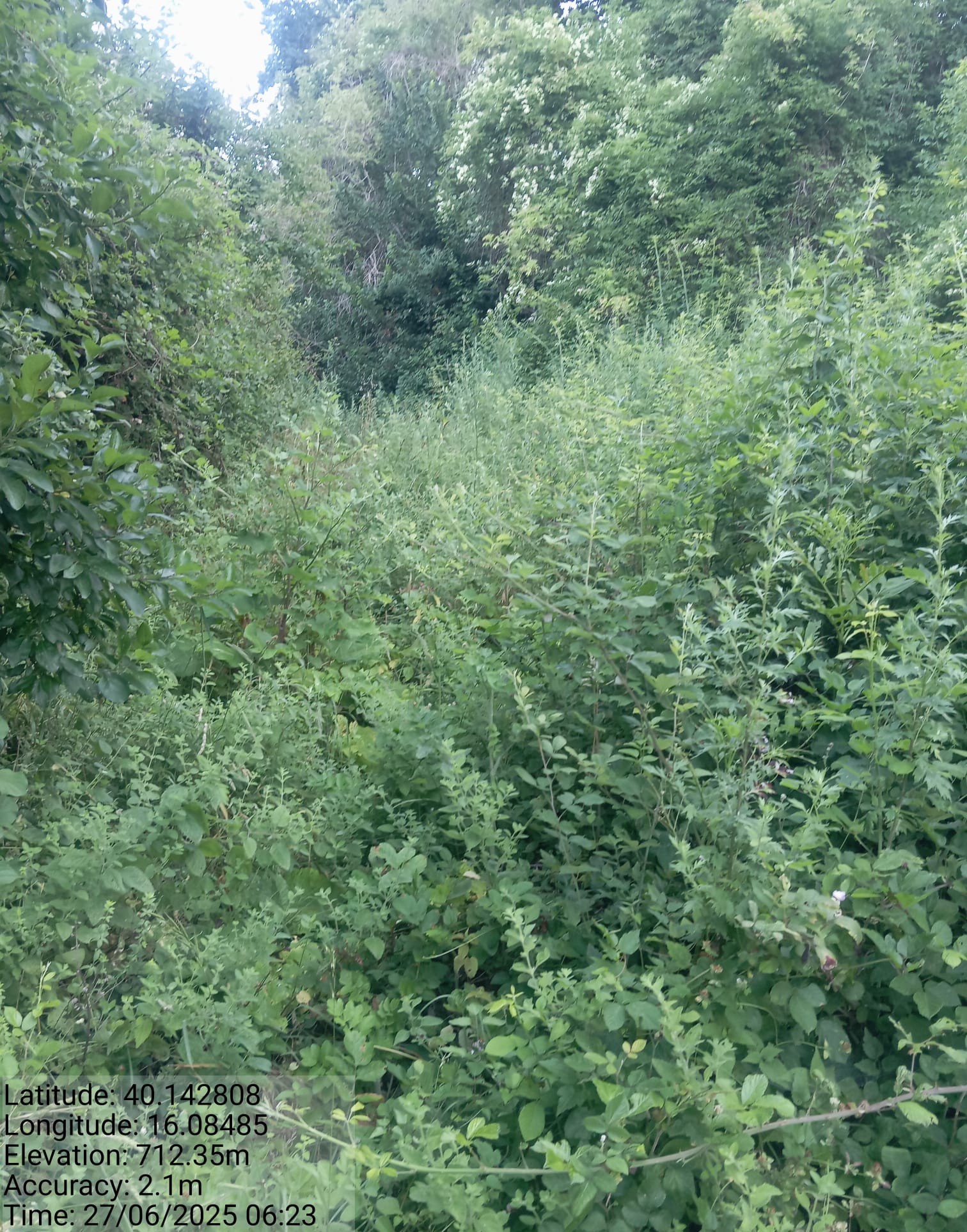 Galleria Fotografica Immagine