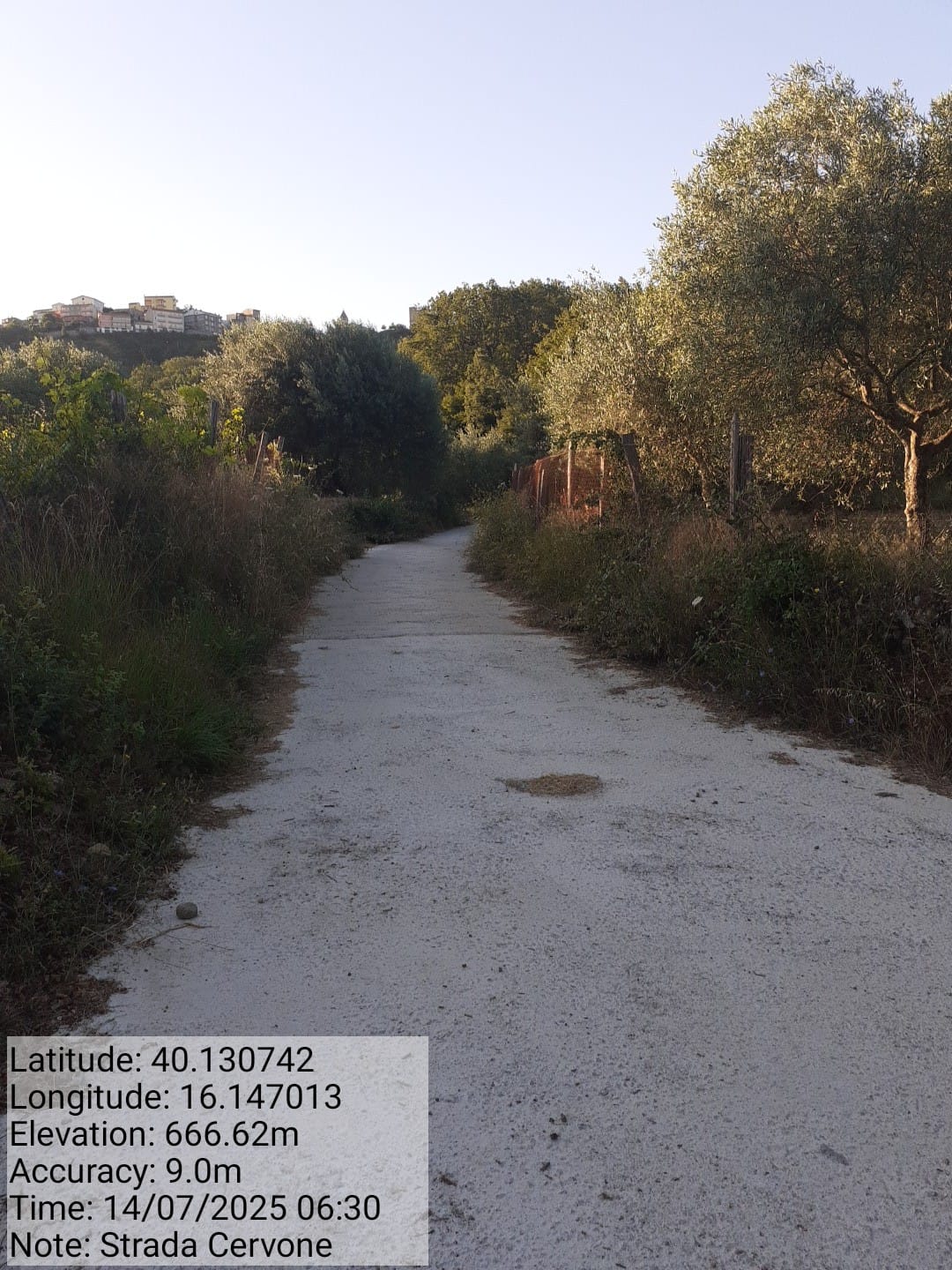 Galleria Fotografica Immagine