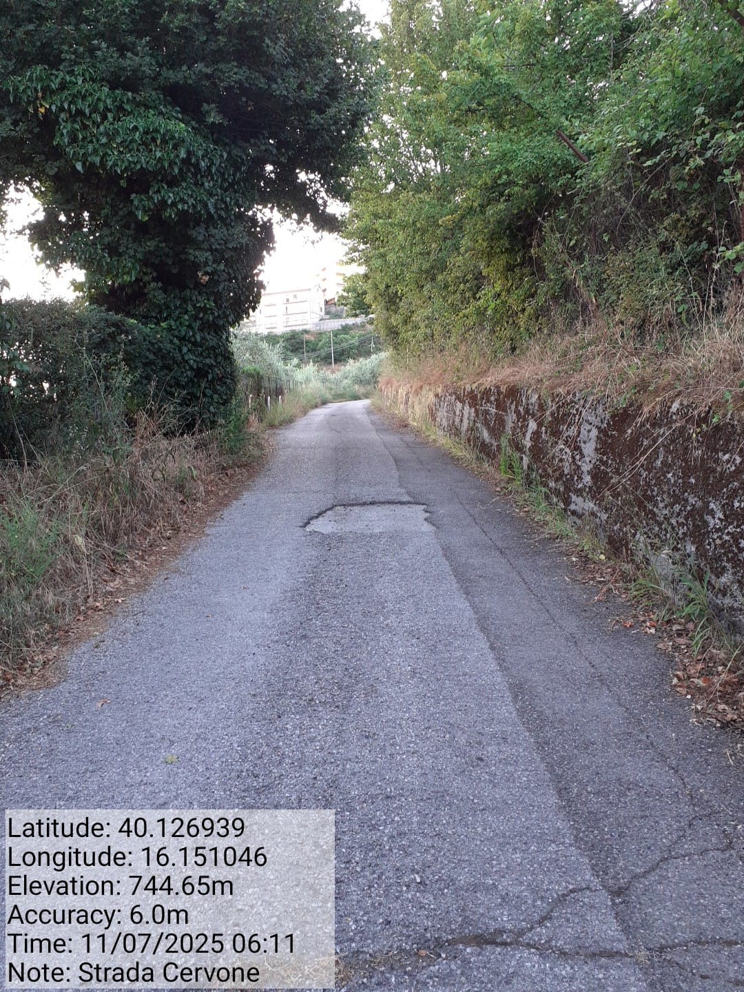 Galleria Fotografica Immagine