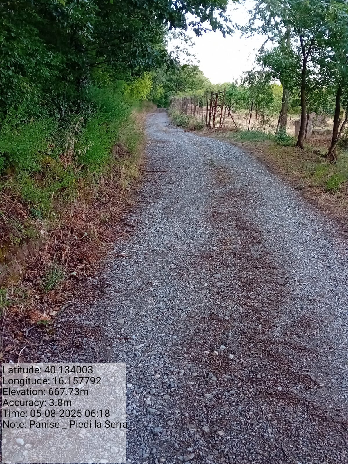 Galleria Fotografica Immagine