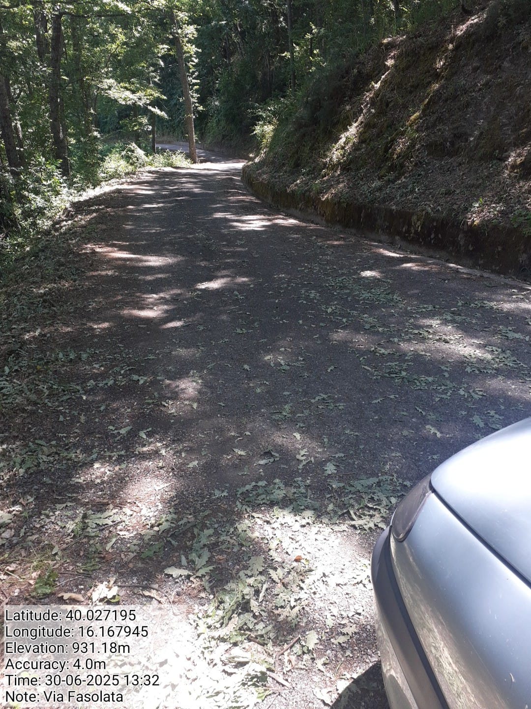 Galleria Fotografica Immagine