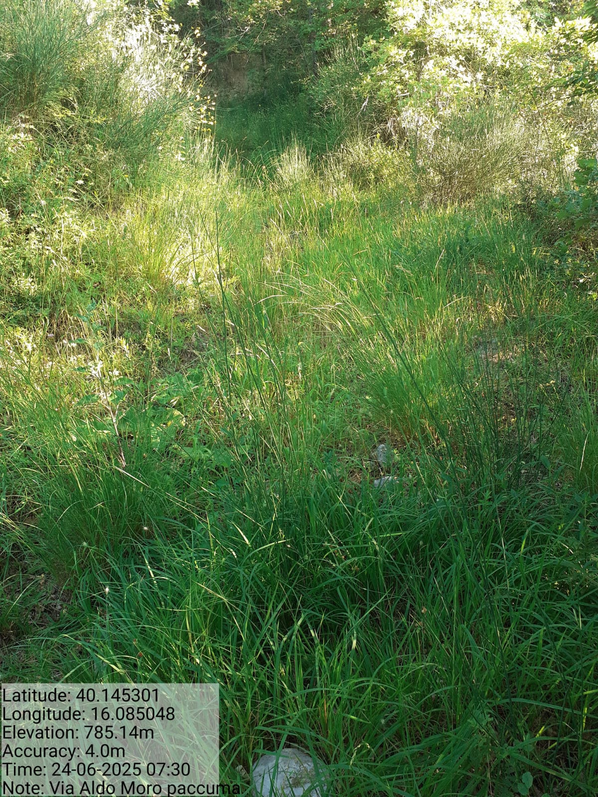 Galleria Fotografica Immagine