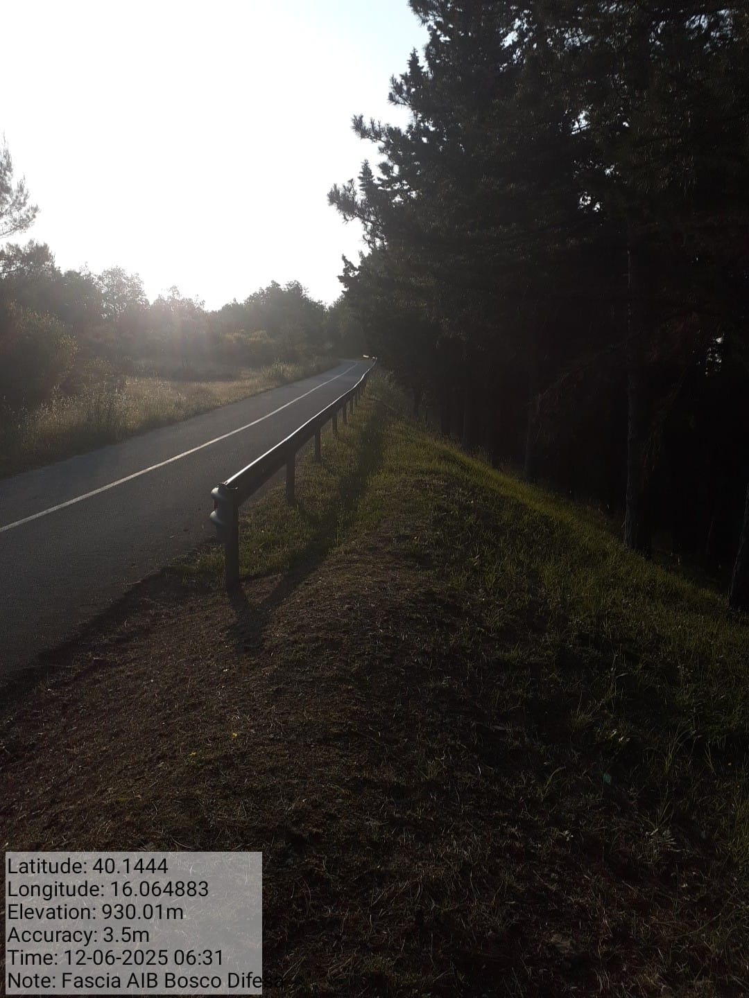 Galleria Fotografica Immagine