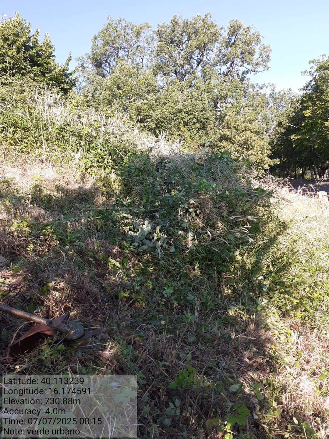 Galleria Fotografica Immagine