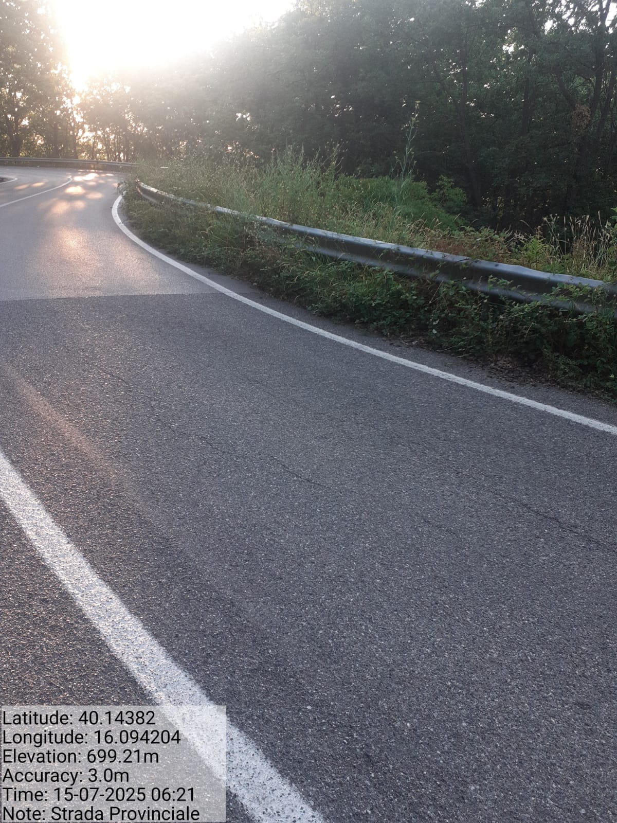 Galleria Fotografica Immagine