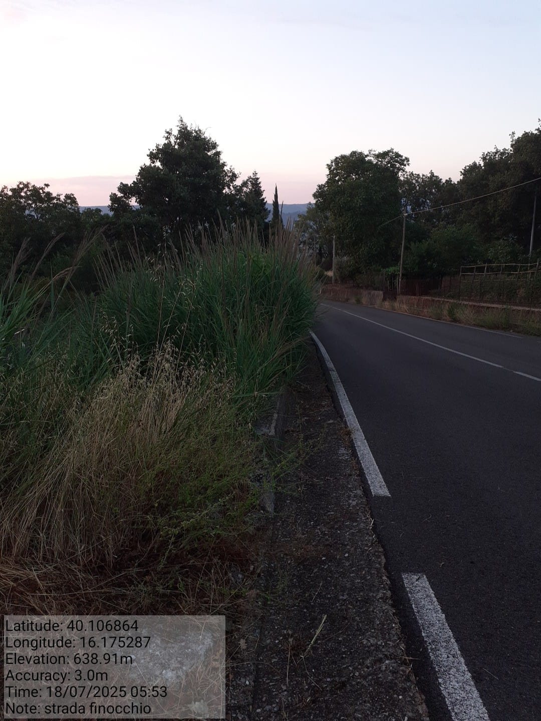 Galleria Fotografica Immagine