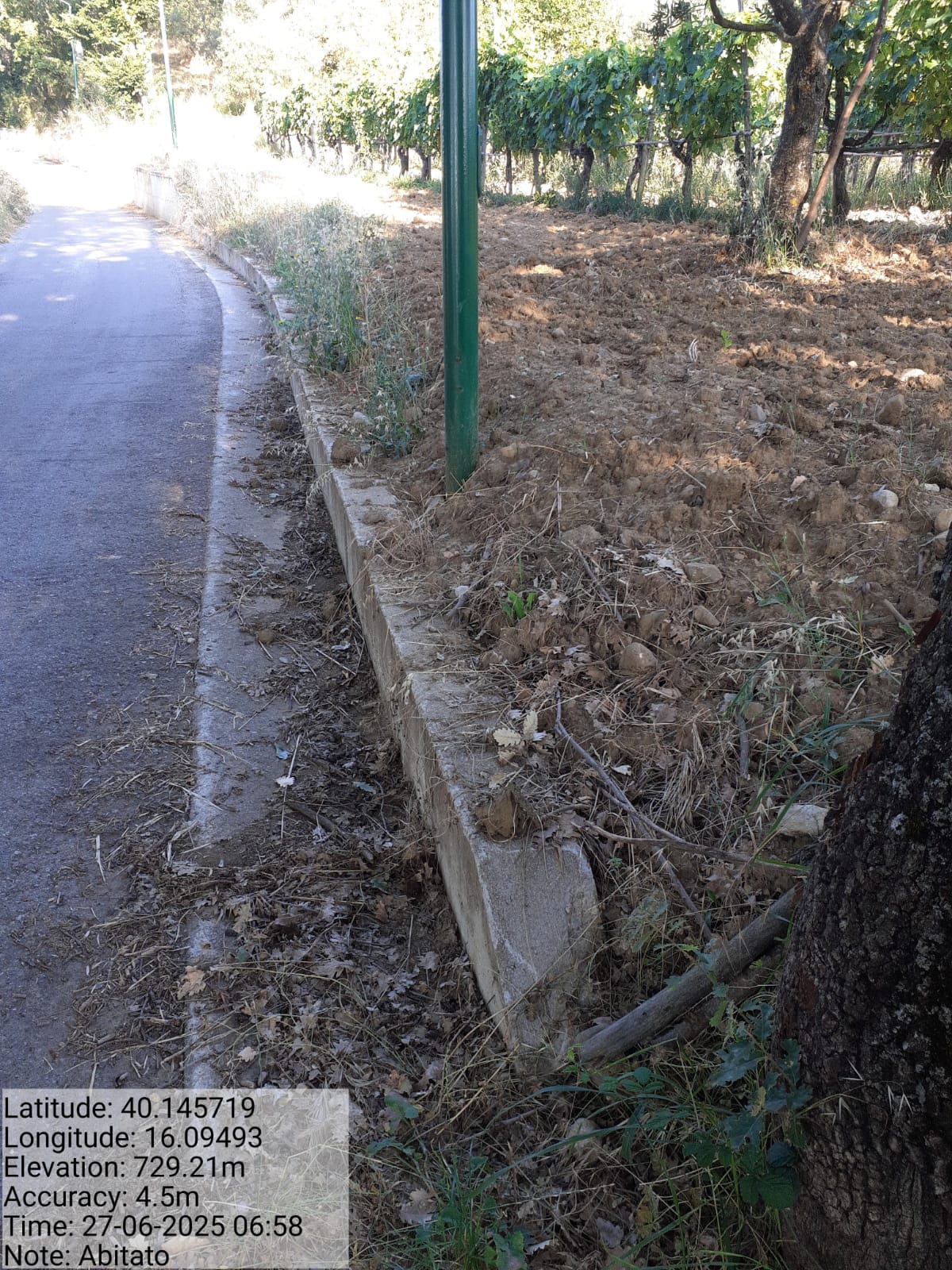 Galleria Fotografica Immagine