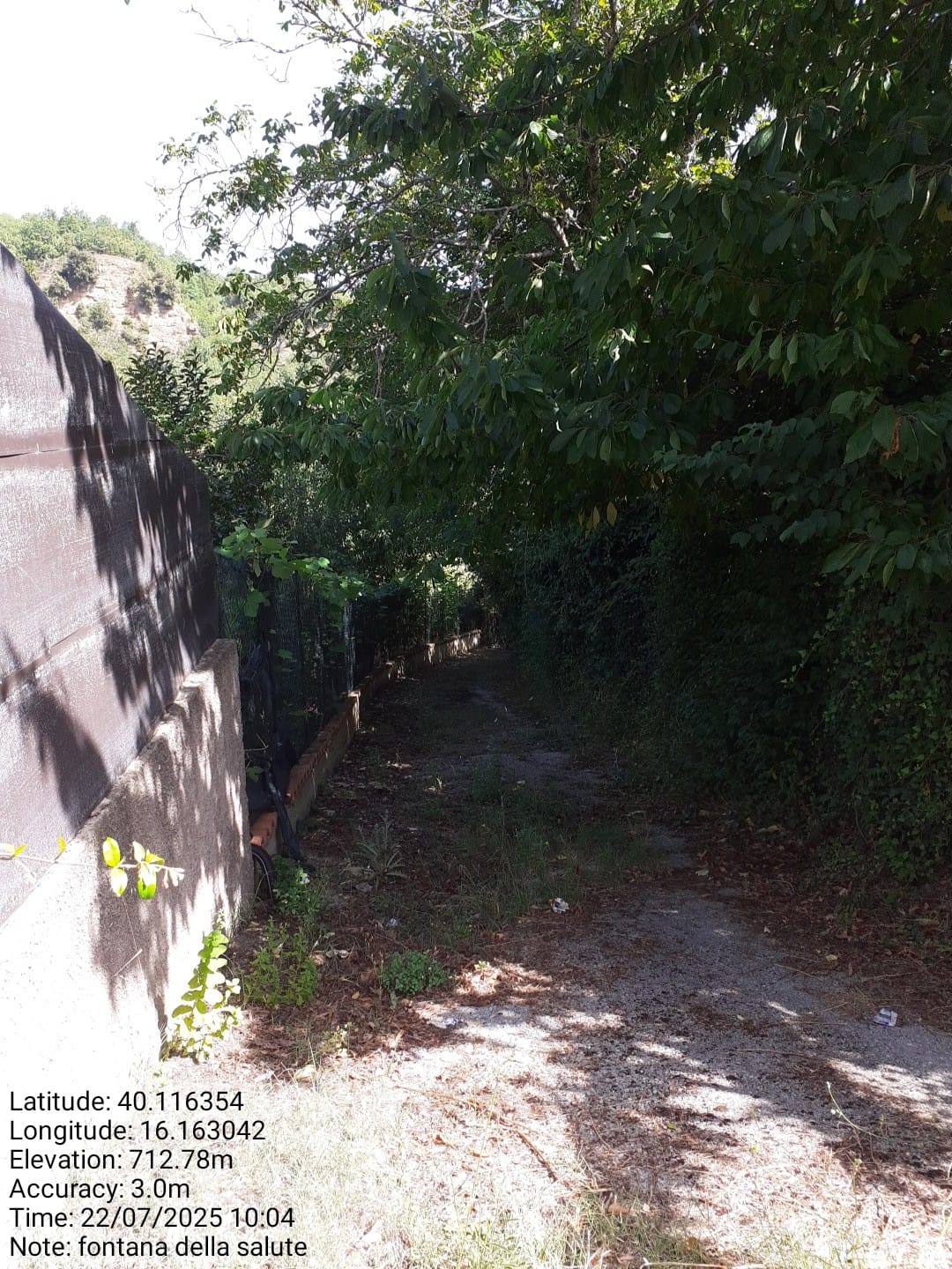 Galleria Fotografica Immagine